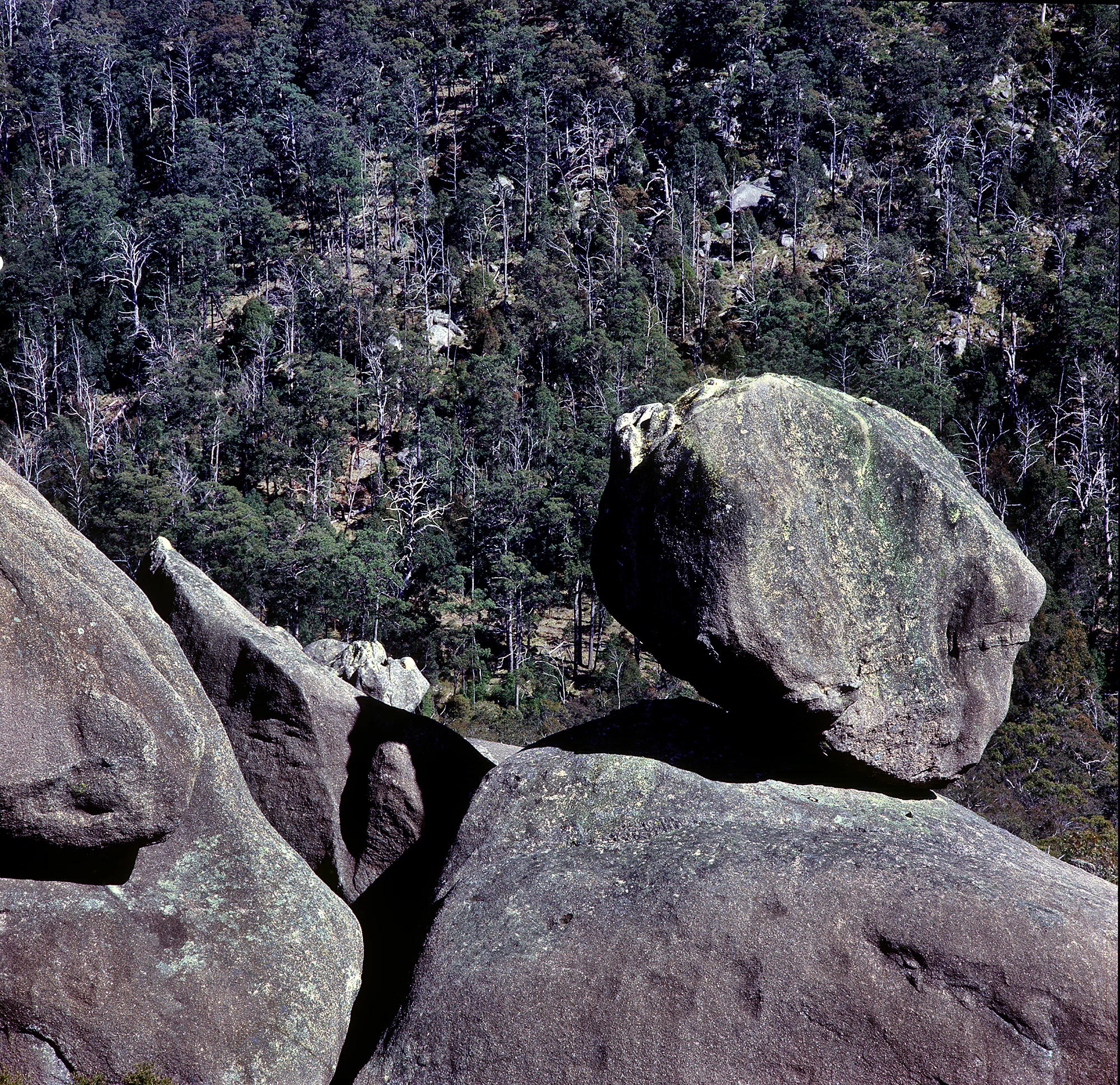 Top of the Wool pack at Cathedral Rocks NP NSW