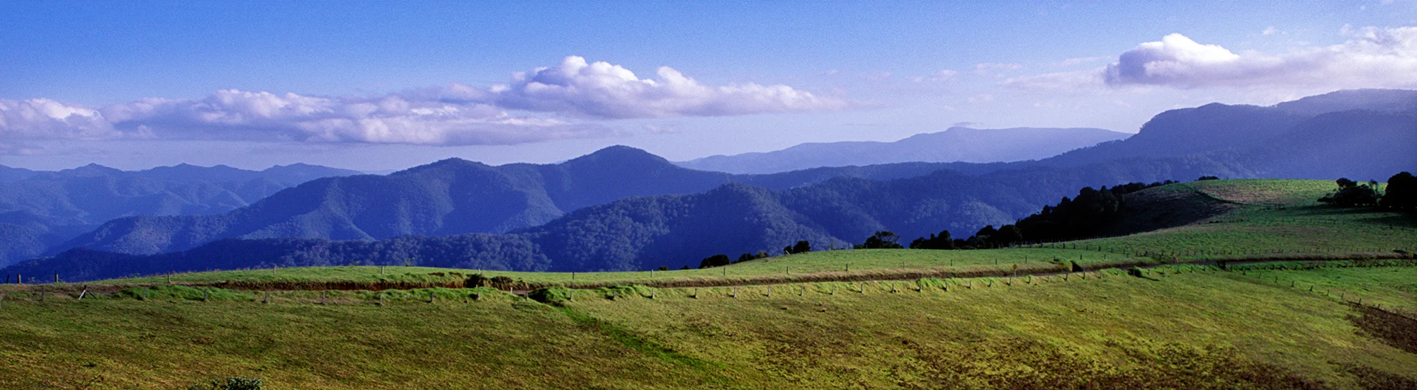 Whiskey Creek Pano Road Dorrigo NSW