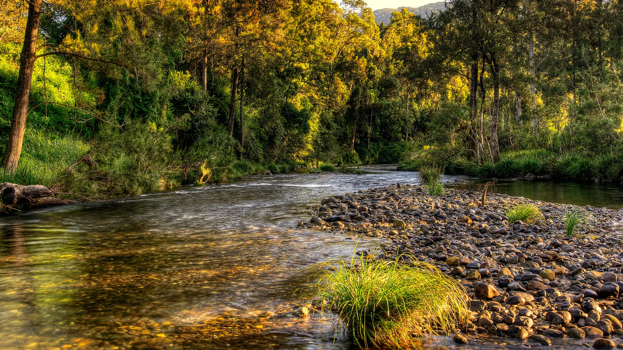 P0028 Bellinger River at Thora NSW