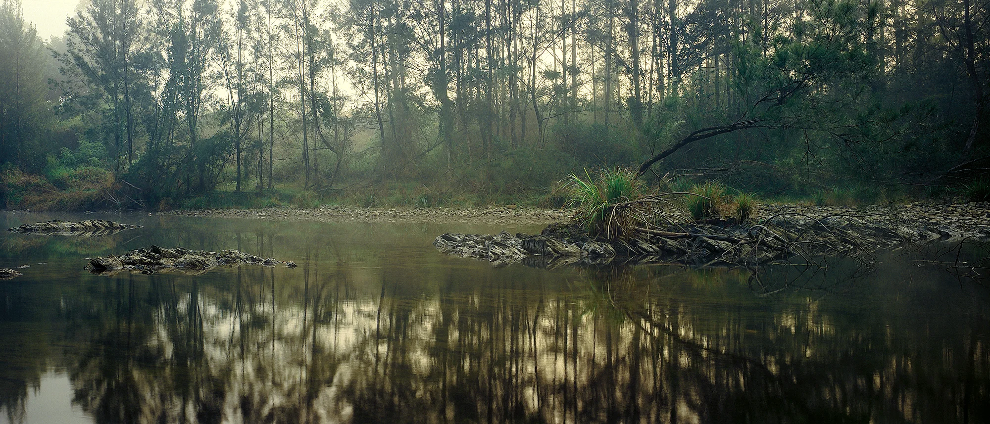 P0024 Bellinger River at Thora NSW