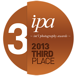 IPA%2020133rdPlace-Bronze copy.png