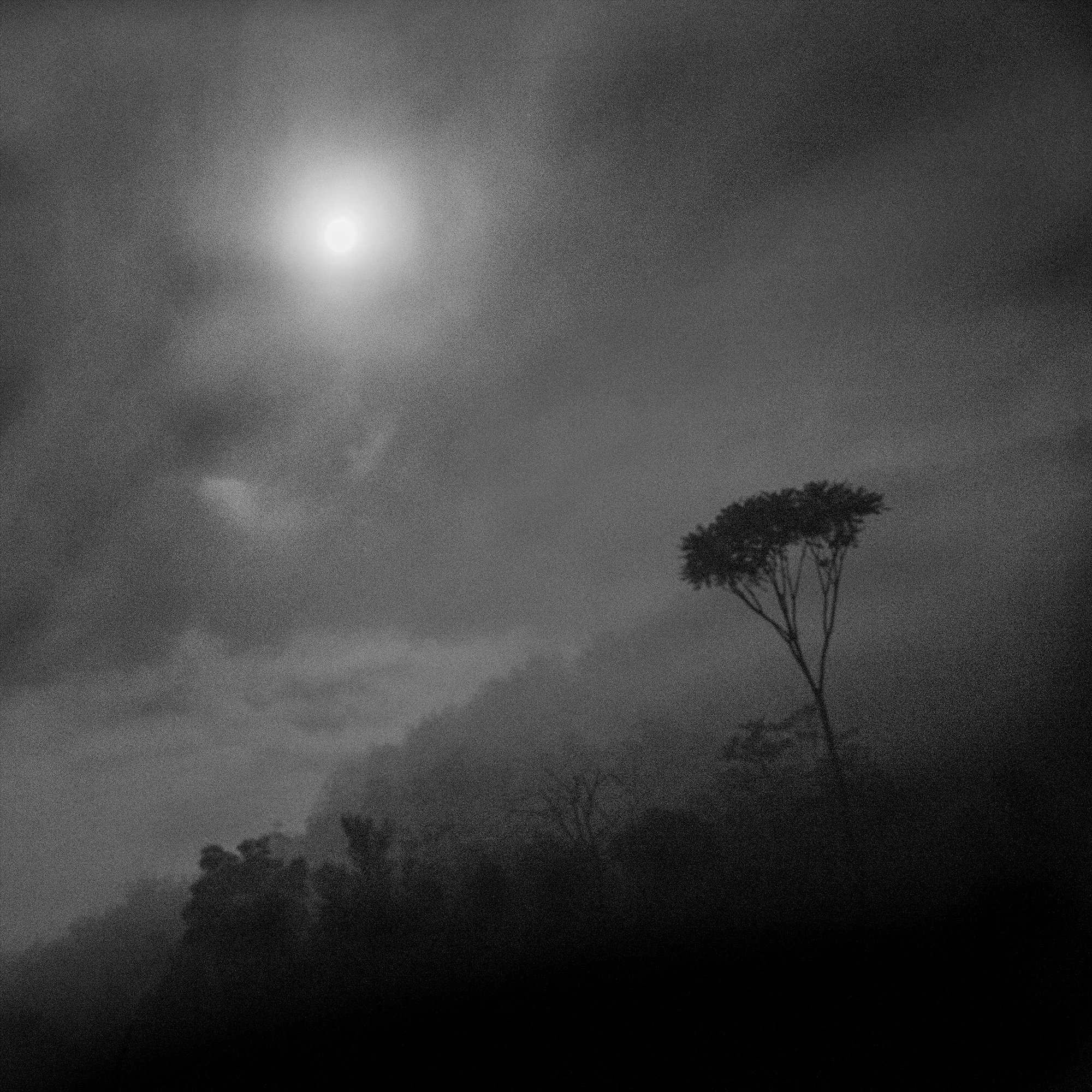 P6439 Full Moon Thora Valley NSW