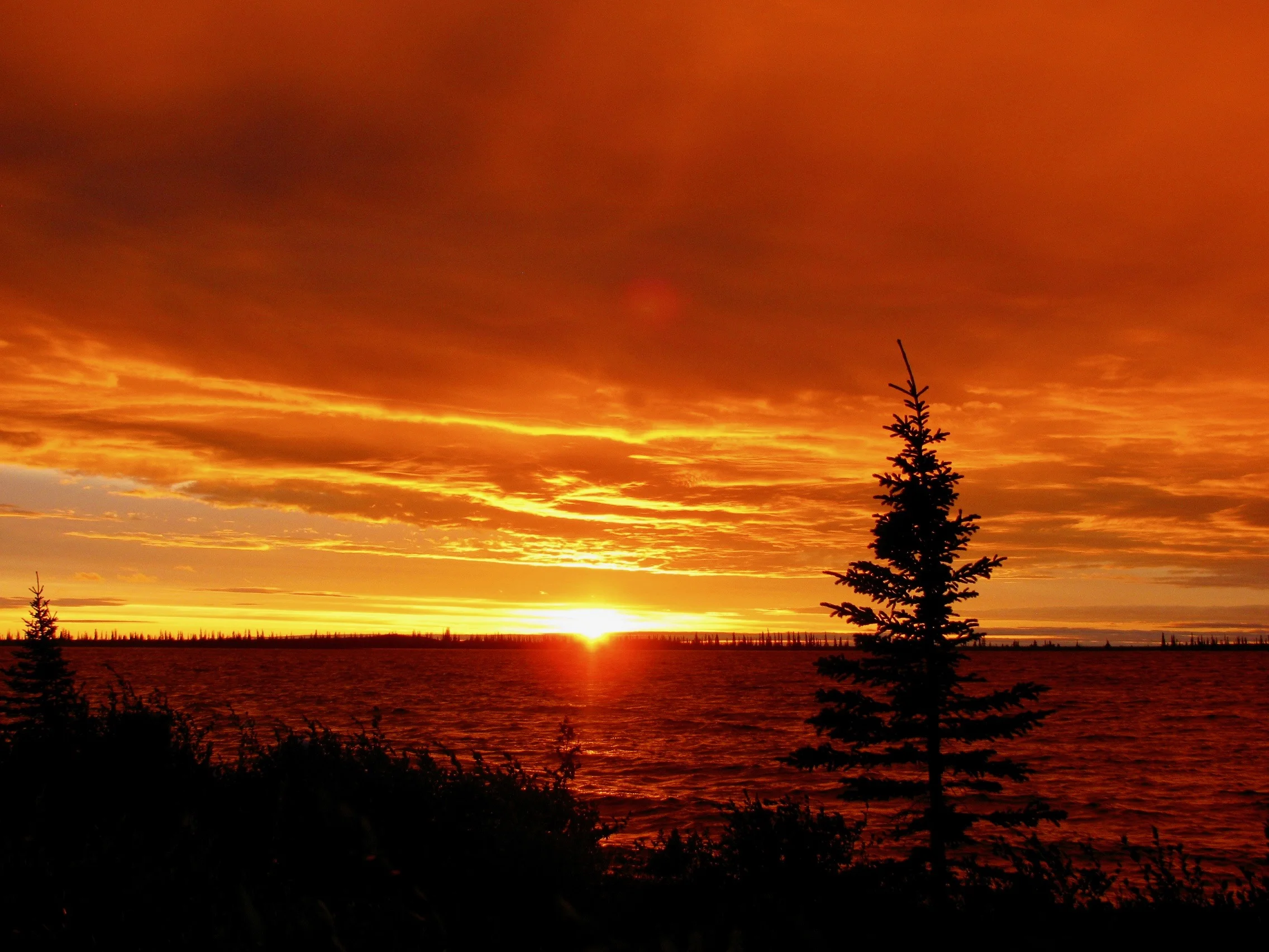 Coppermine River Midnight sun.jpg