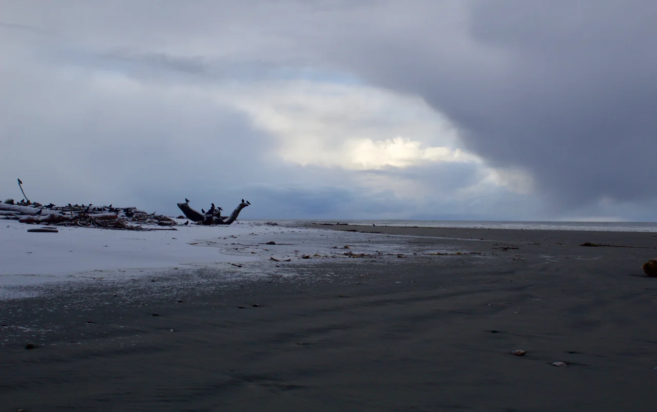 Ravens: From the Nahanni River to Haida Gwaii their voices transport you to prehistoric times.