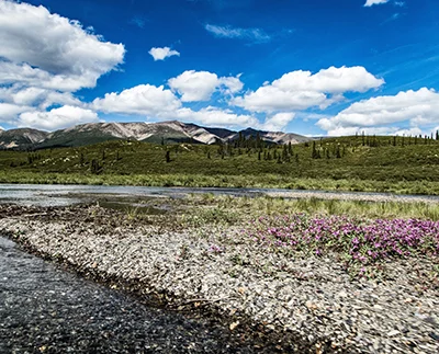 little-nahanni.jpg
