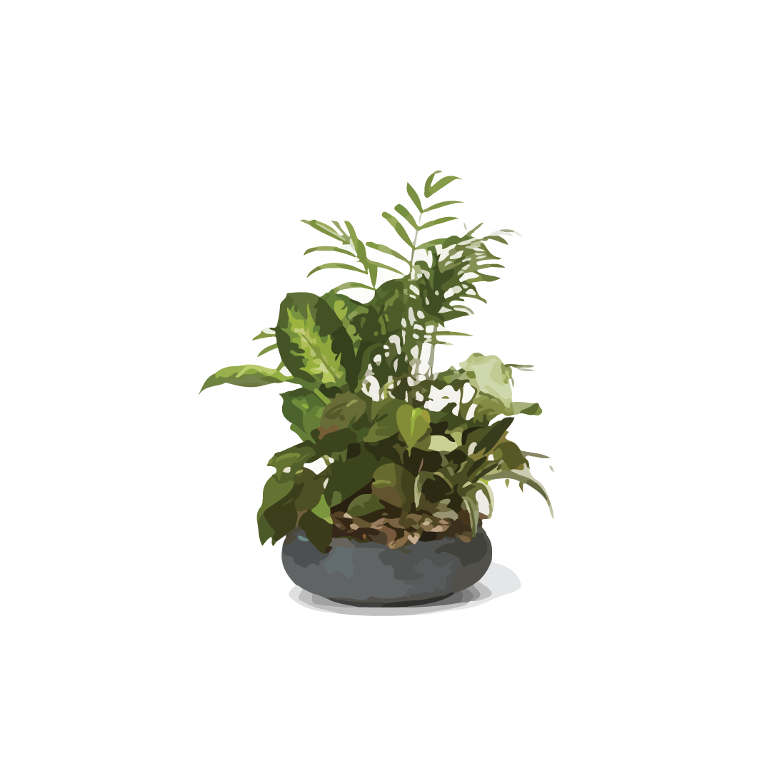 dish garden.png