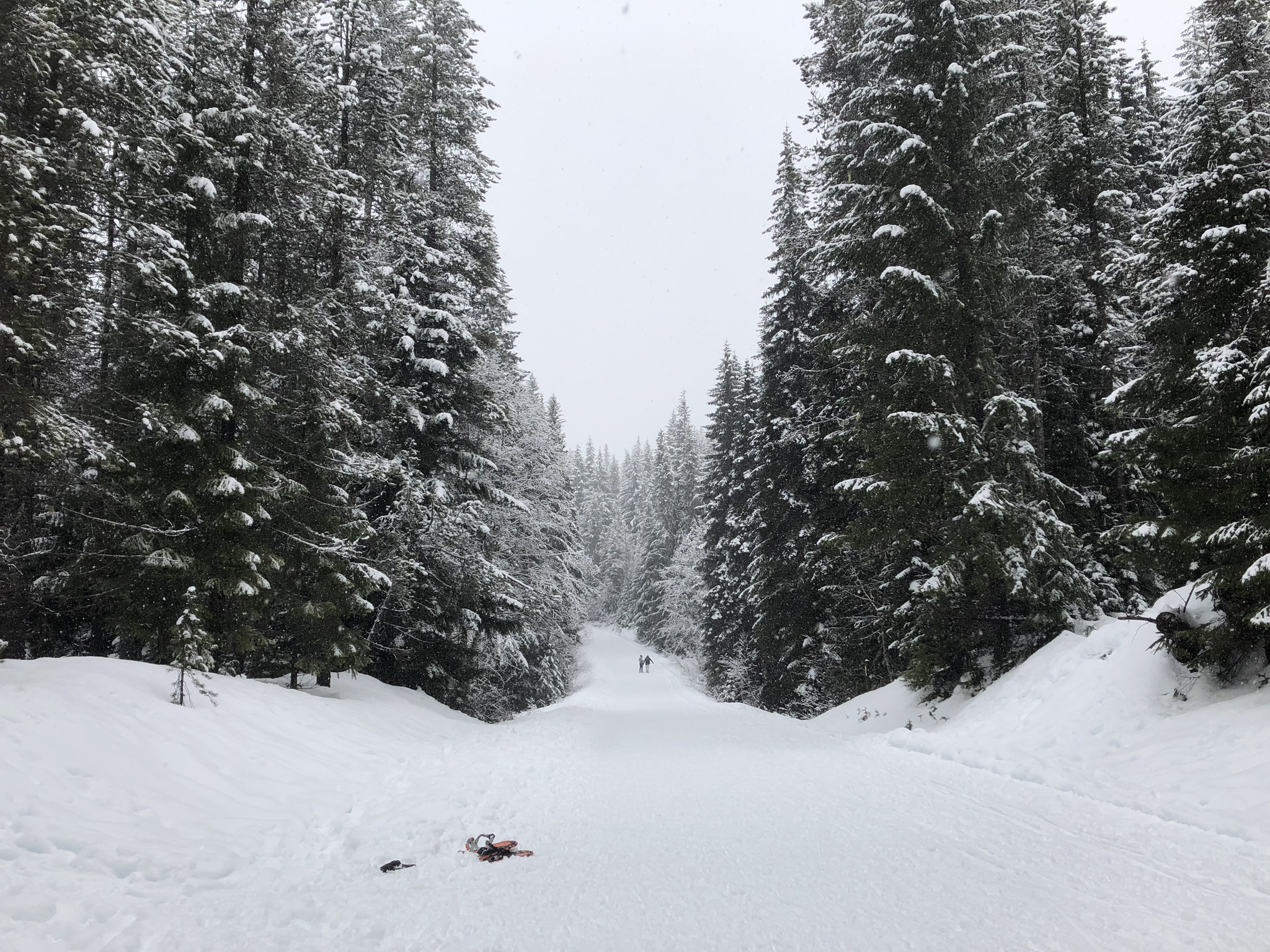 Favorite Snowshoeing Spot: Government Camp
