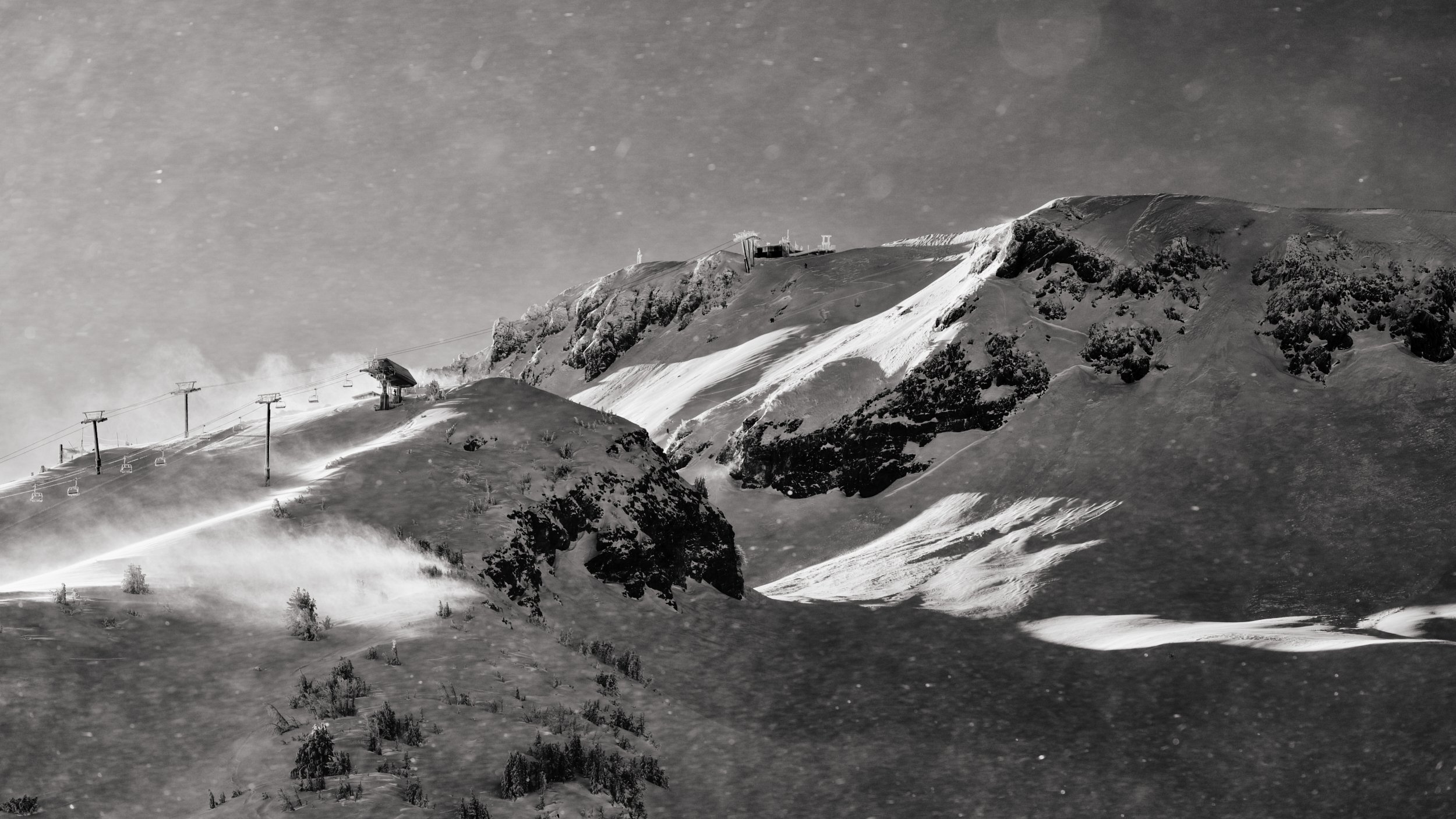 Chair 3 Mammoth
