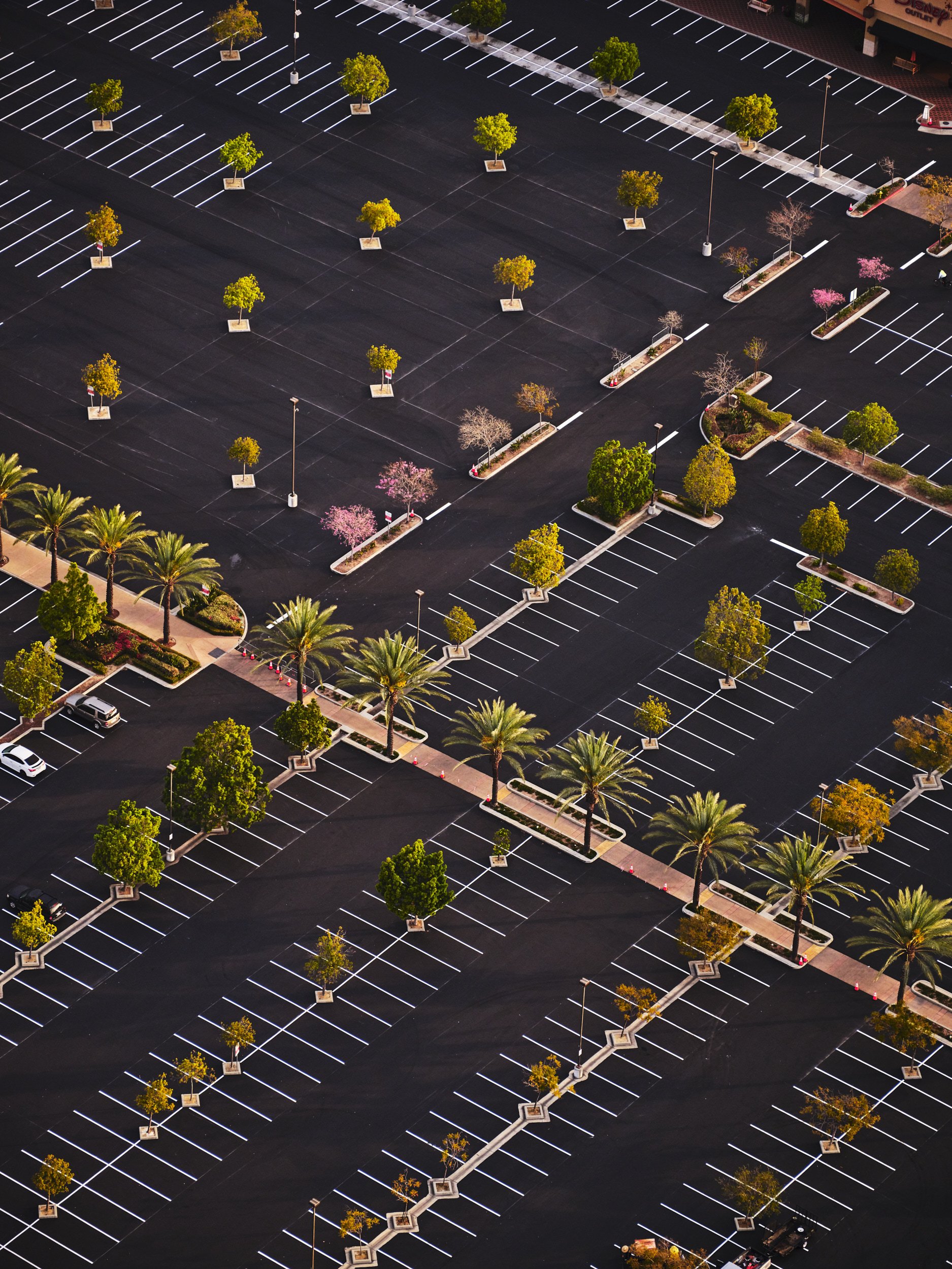Citadel Outlet Center March 2020