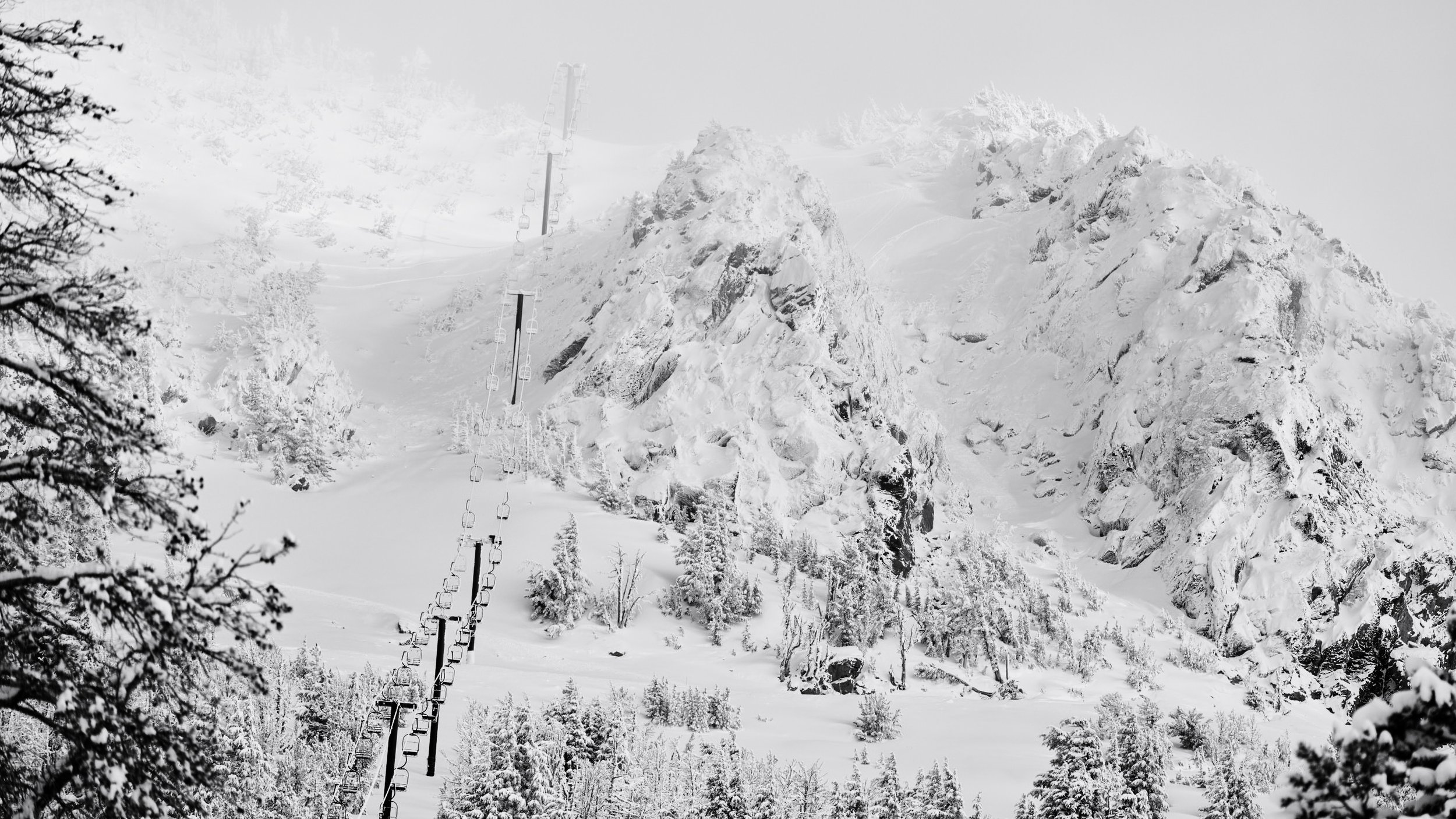 Chair 14 Mammoth