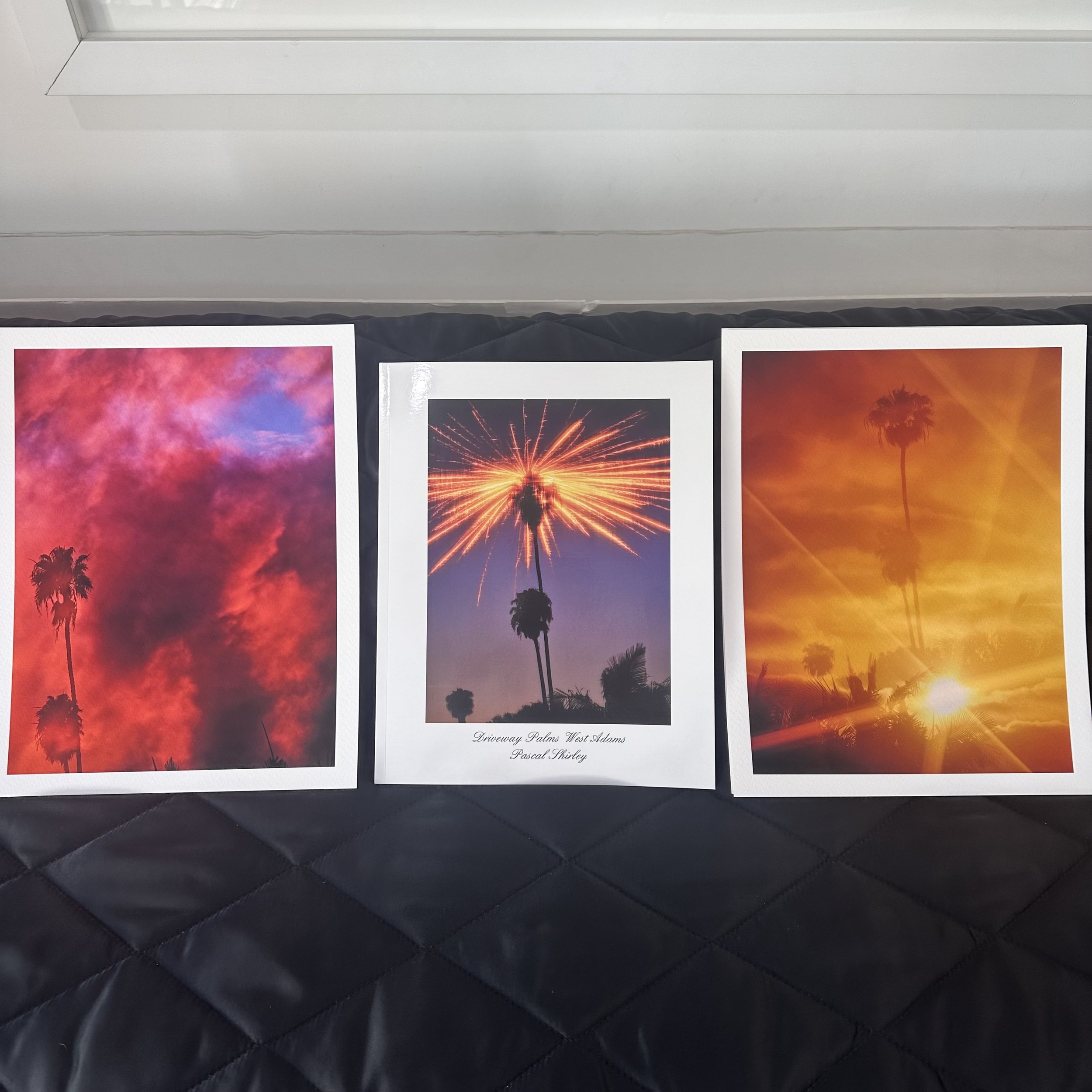 Driveway Palms West Adams with 2 8x10 inch prints