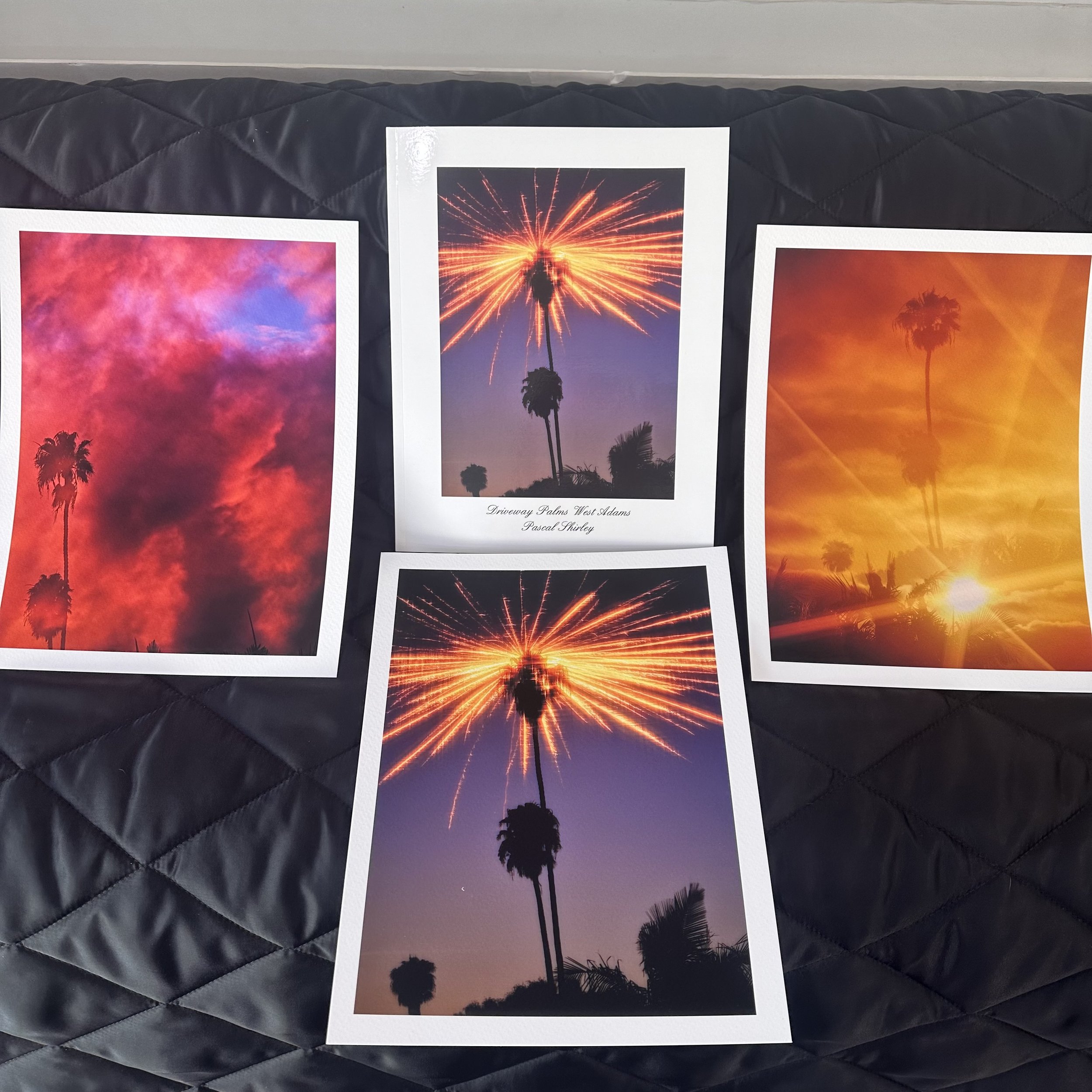 Driveway Palms West Adams with 3 8x10inch prints