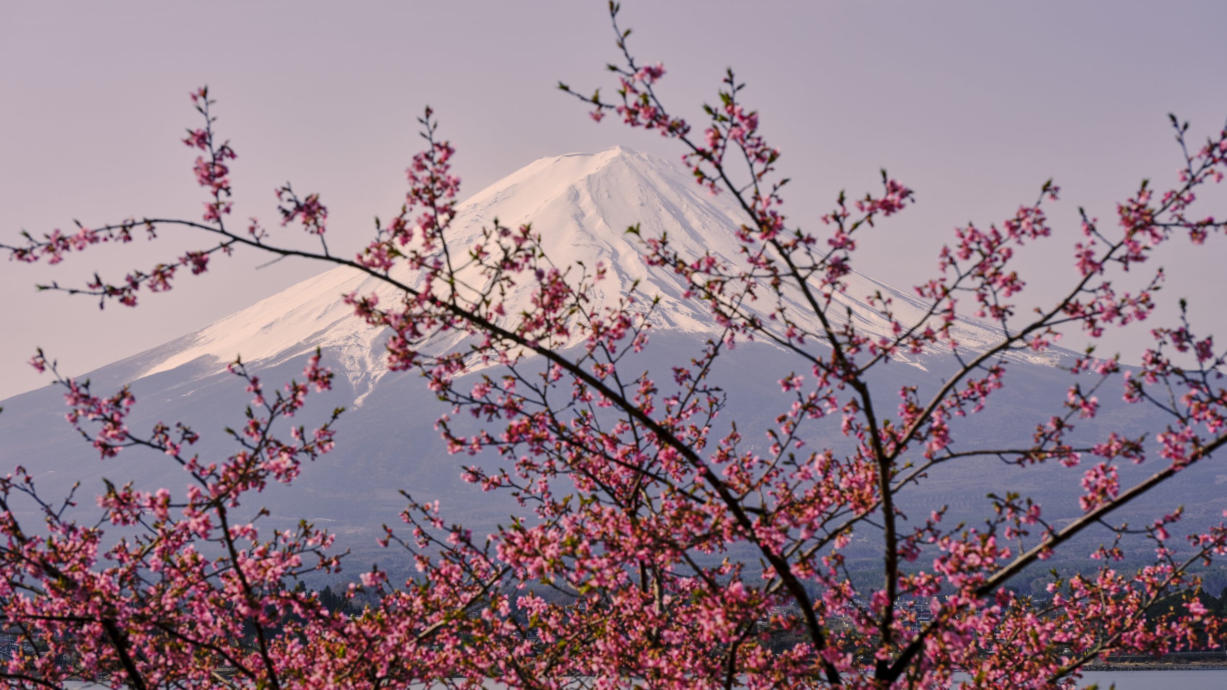 Mt Fuji #1