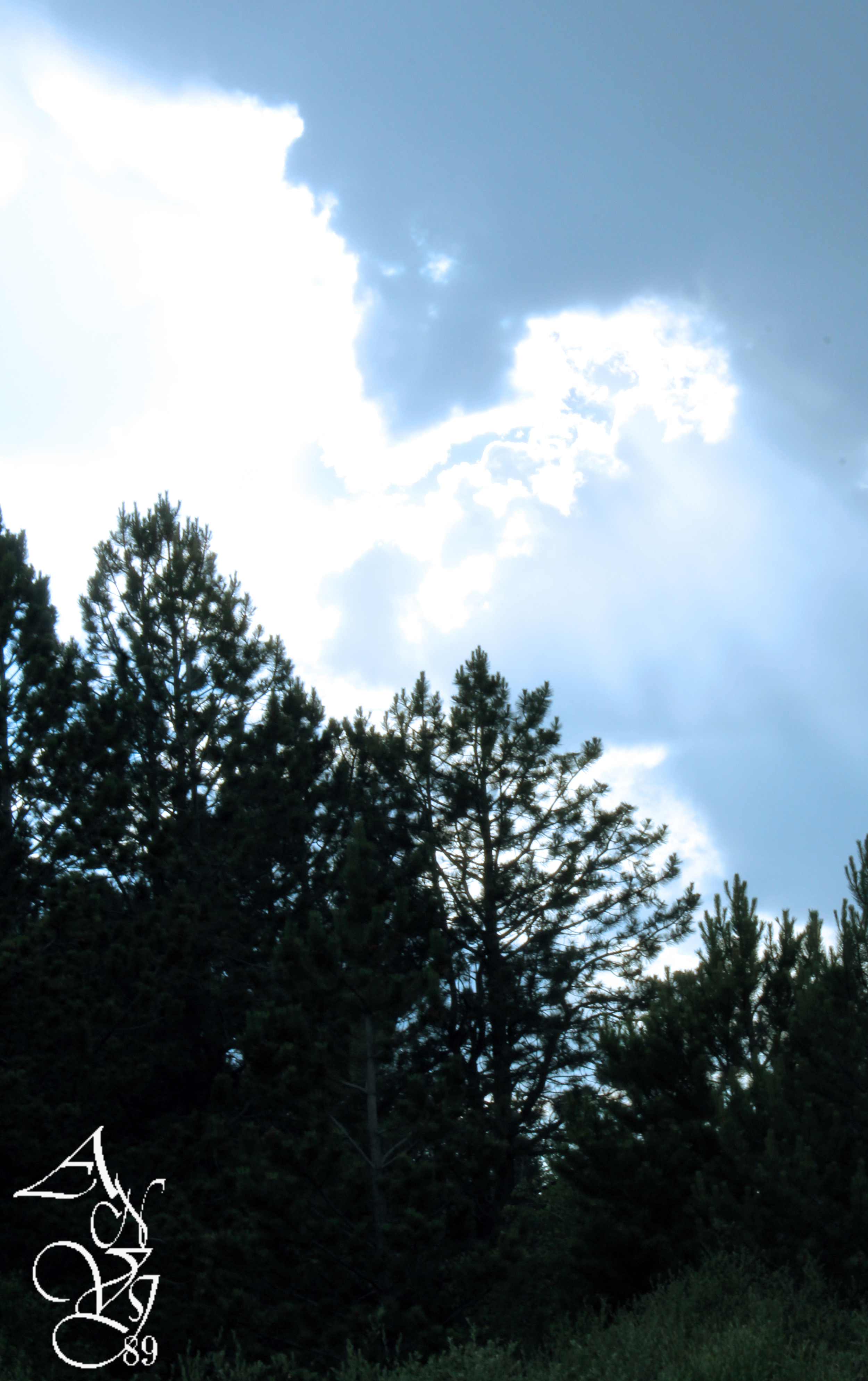 Vedauwoo July 2016