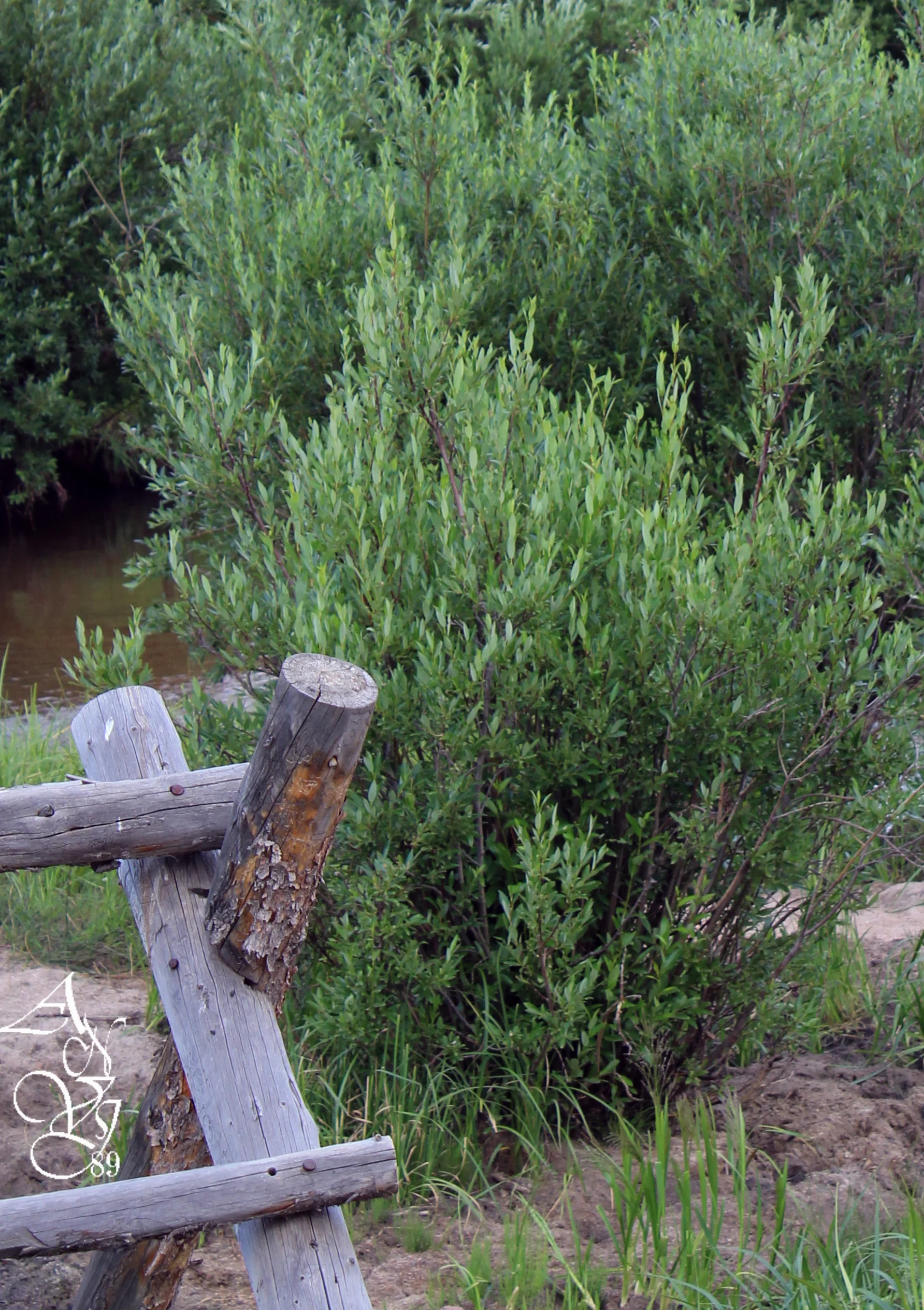 Vedauwoo July 2016