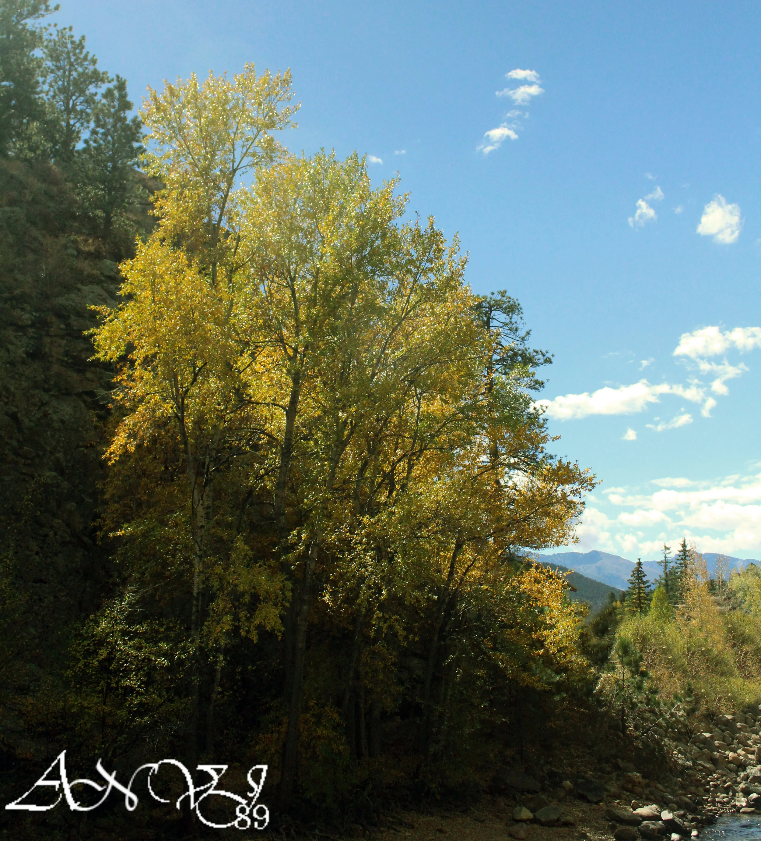  Estes Park October 2016 