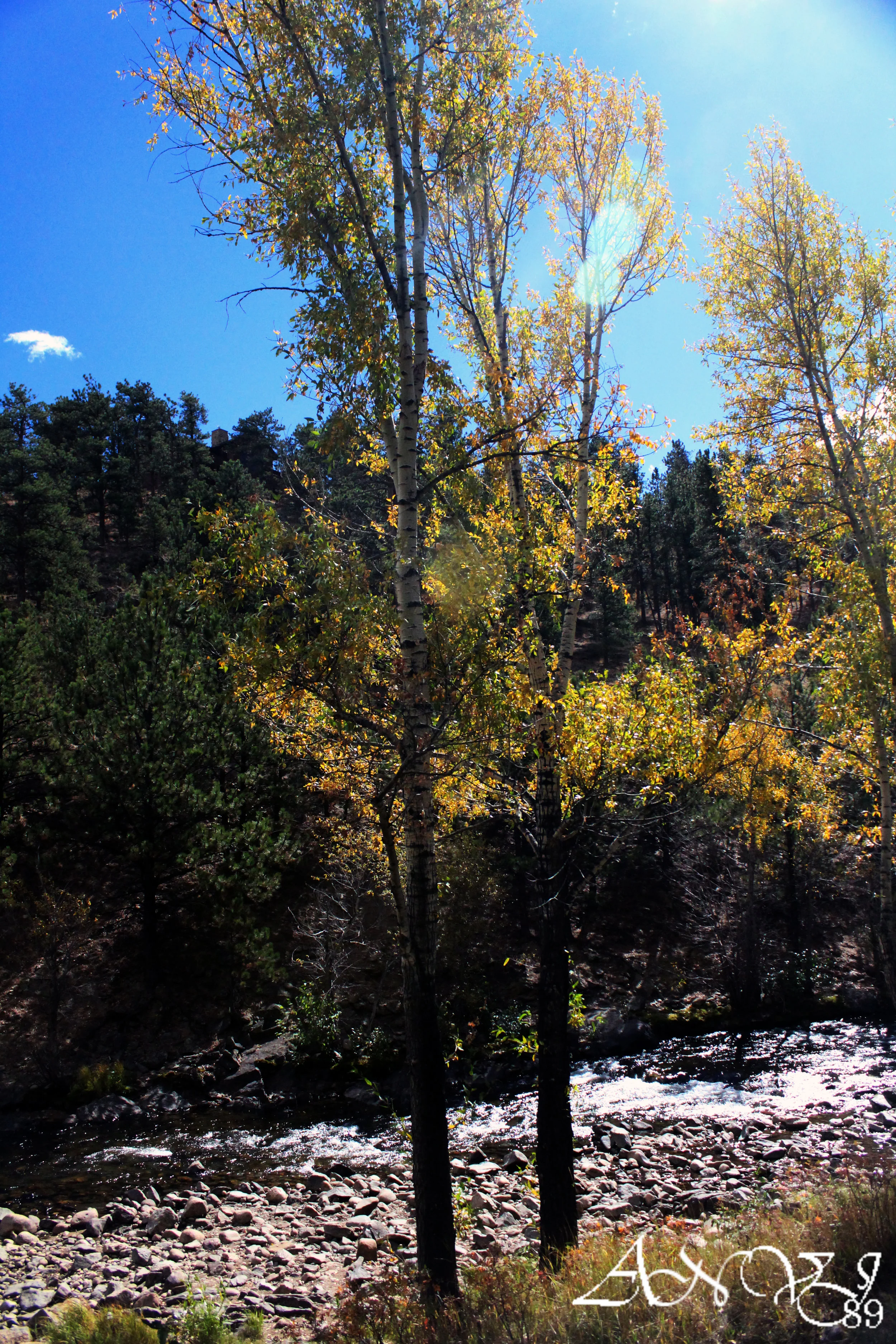 Estes Park October 2016 