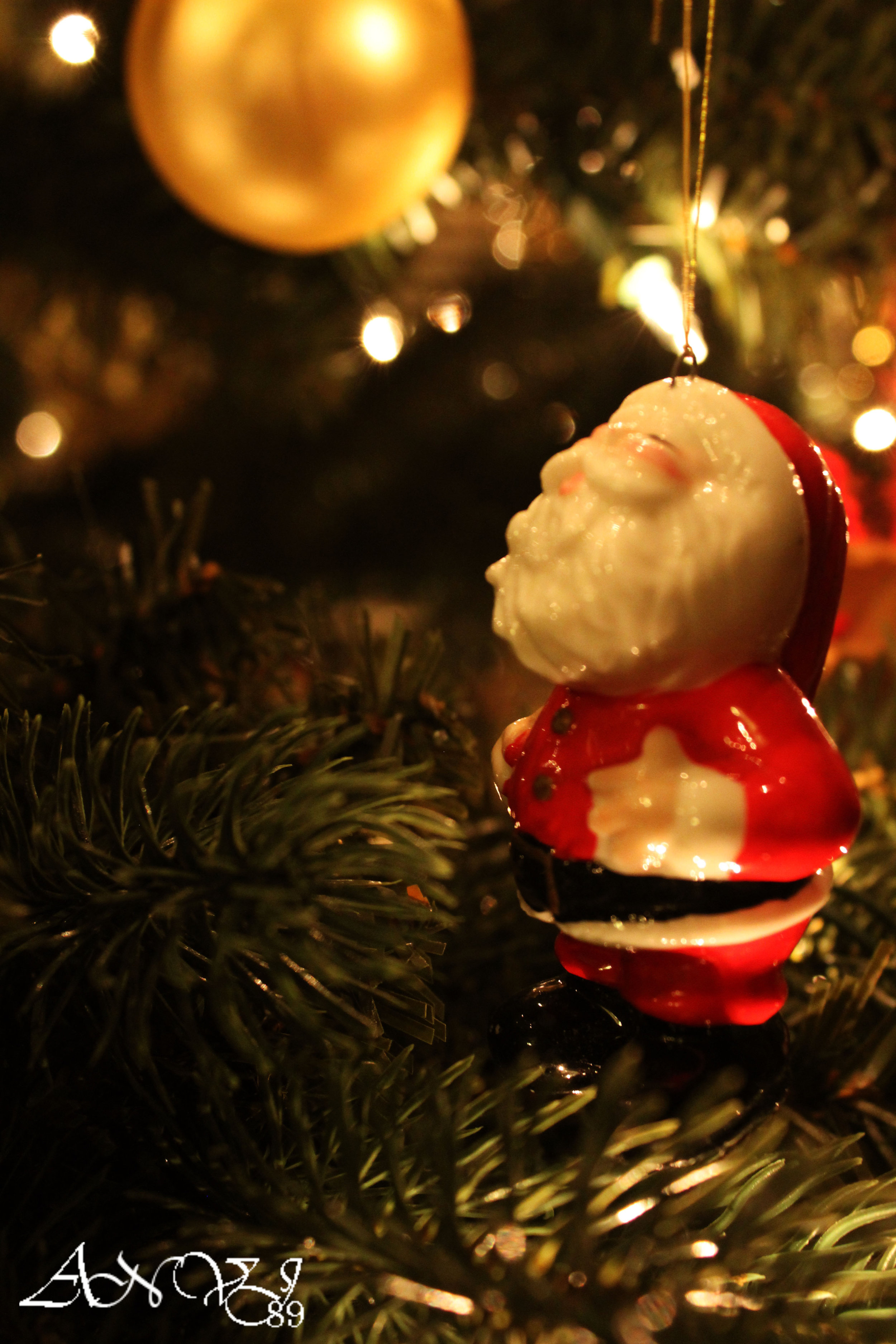 IMG_32511a.jpg