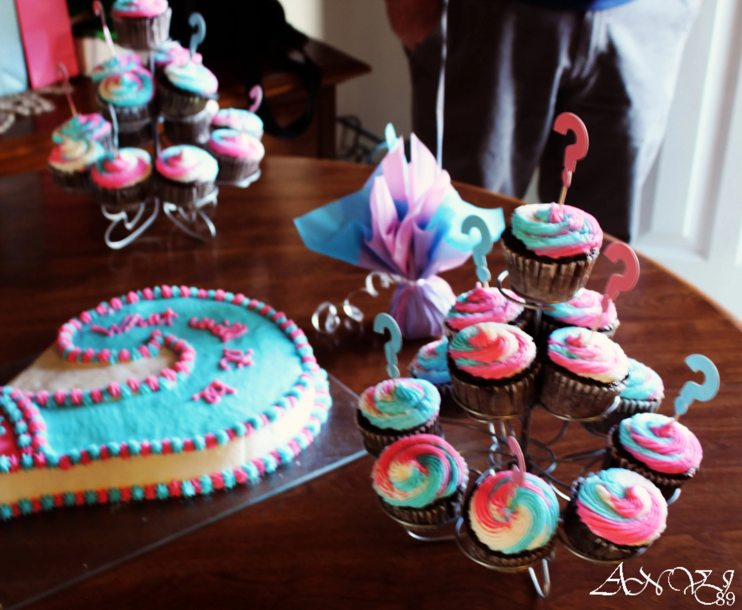  Gender Reveal April 2017 Cheyenne Wyoming 