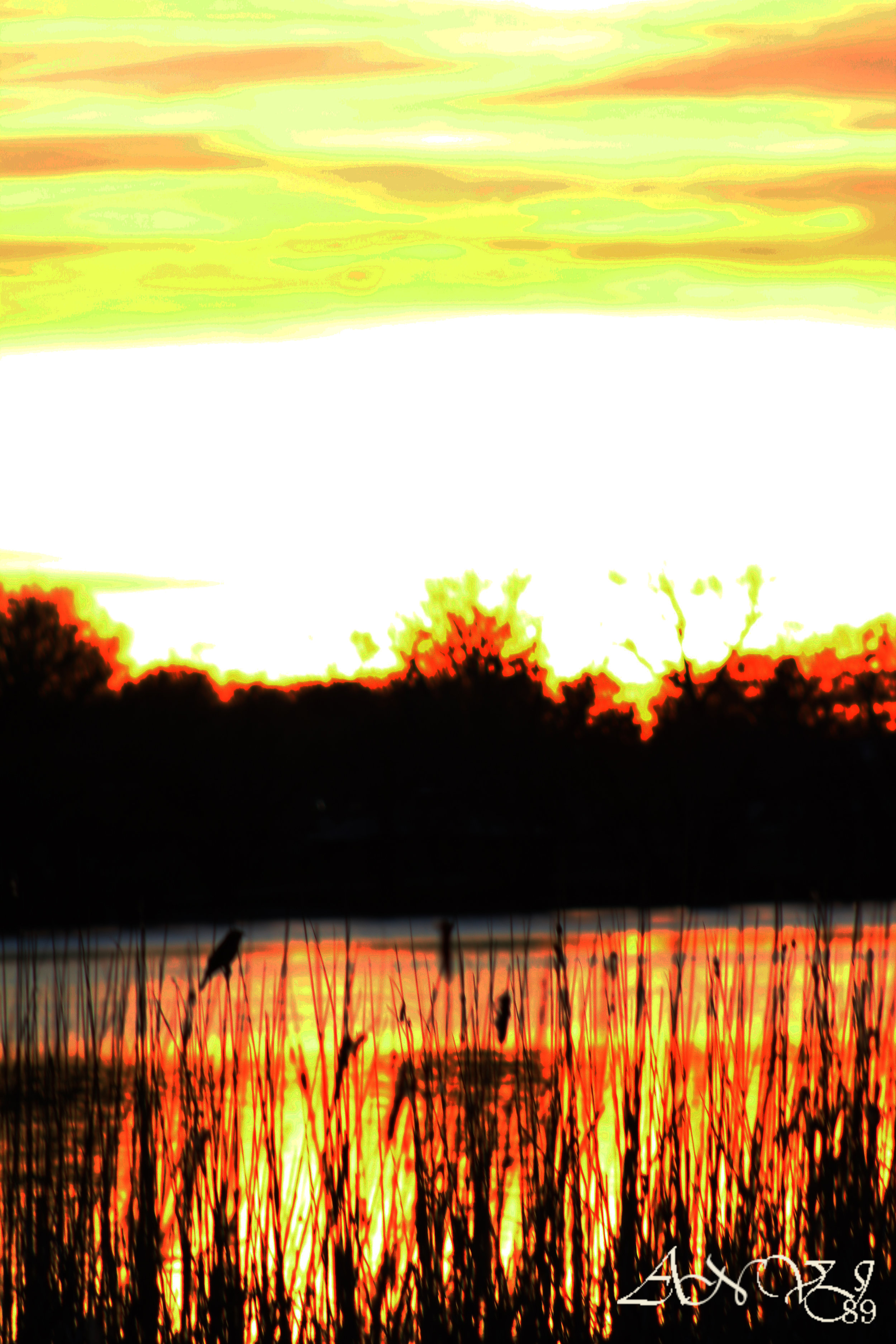 IMG_41761a.jpg