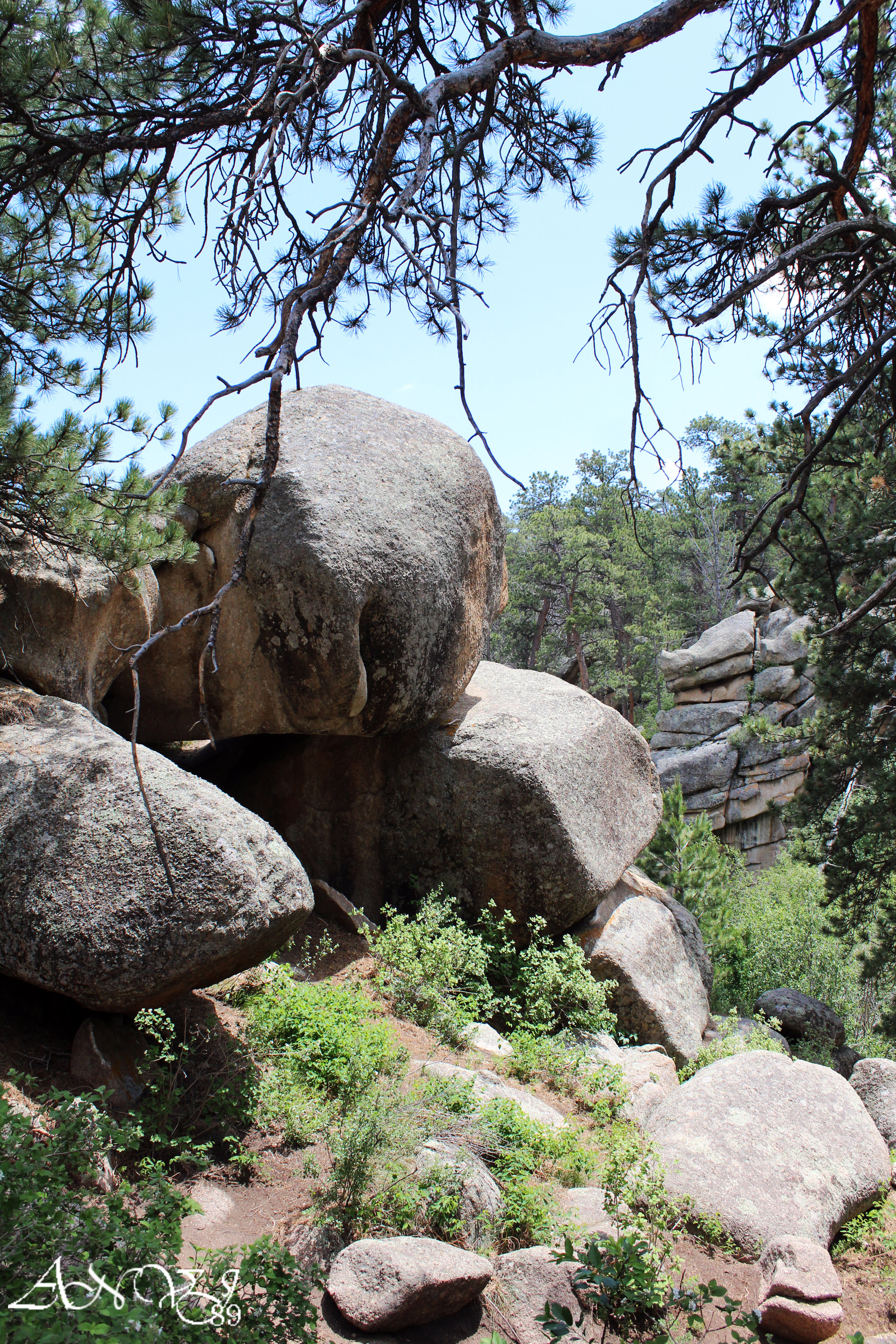 Curt Gowdy State Park June 2017
