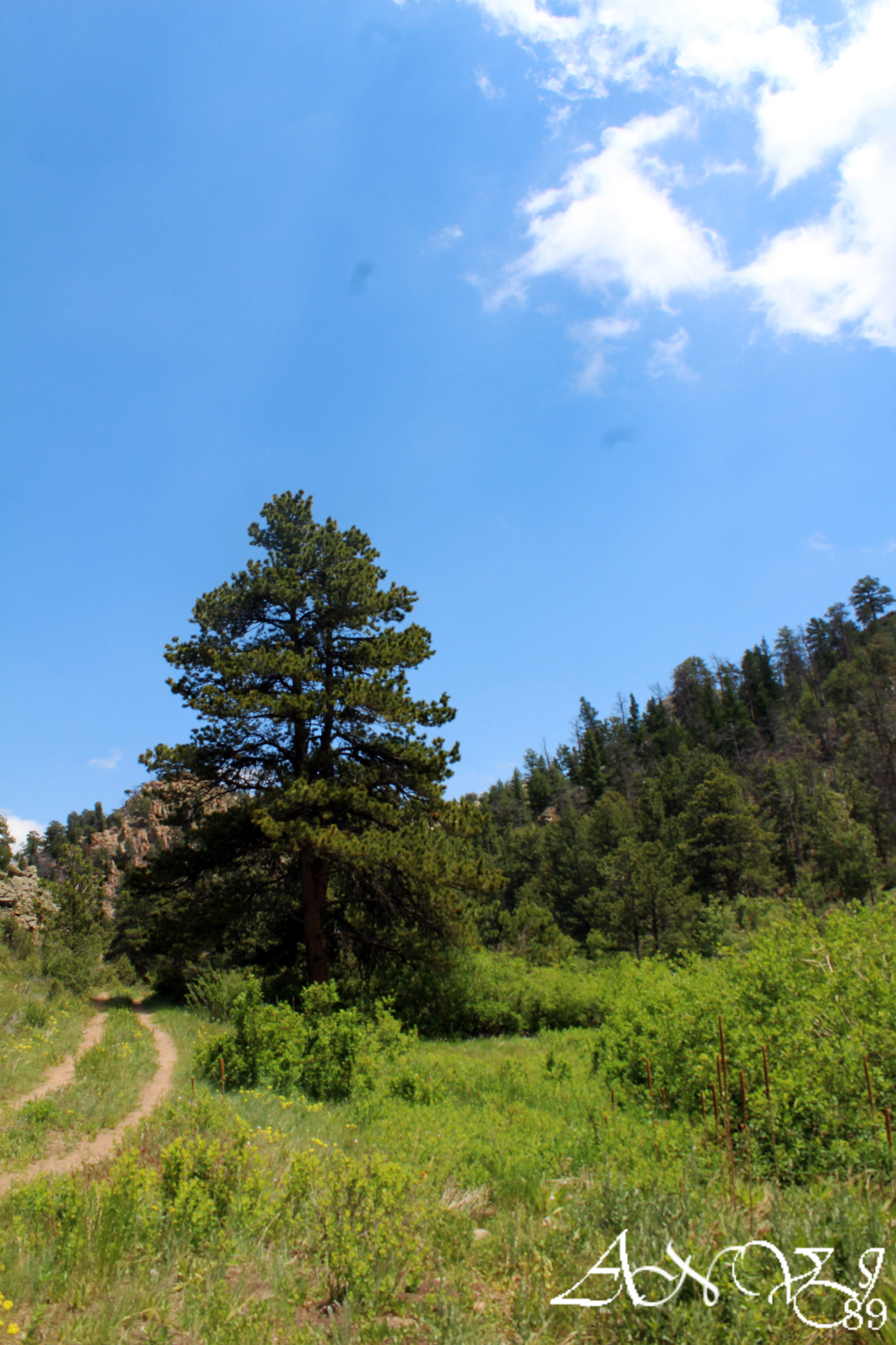 Curt Gowdy State Park June 2017