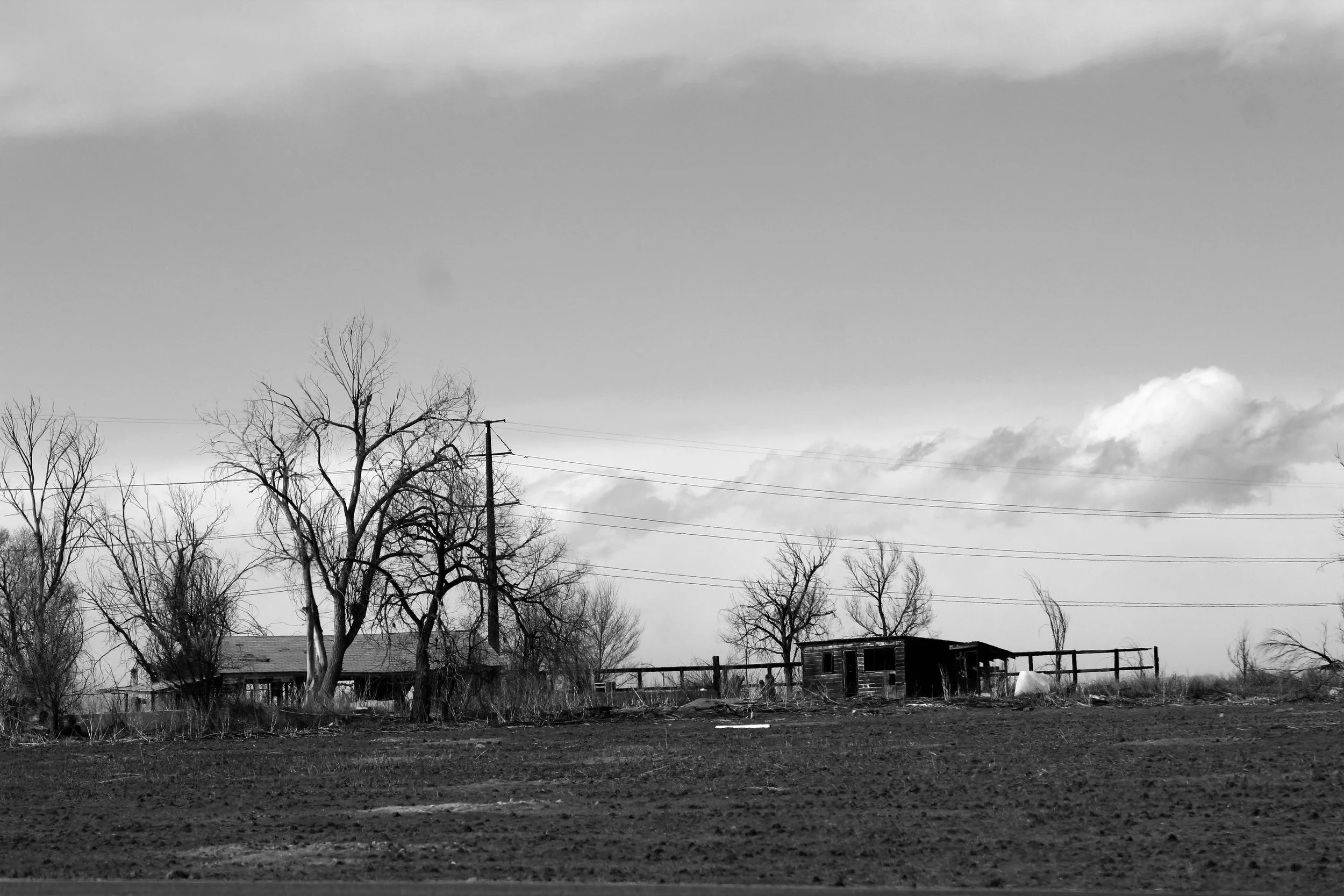 Landscape Abandonment