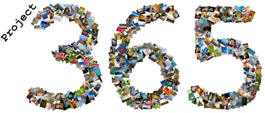 365 Photo Challenge