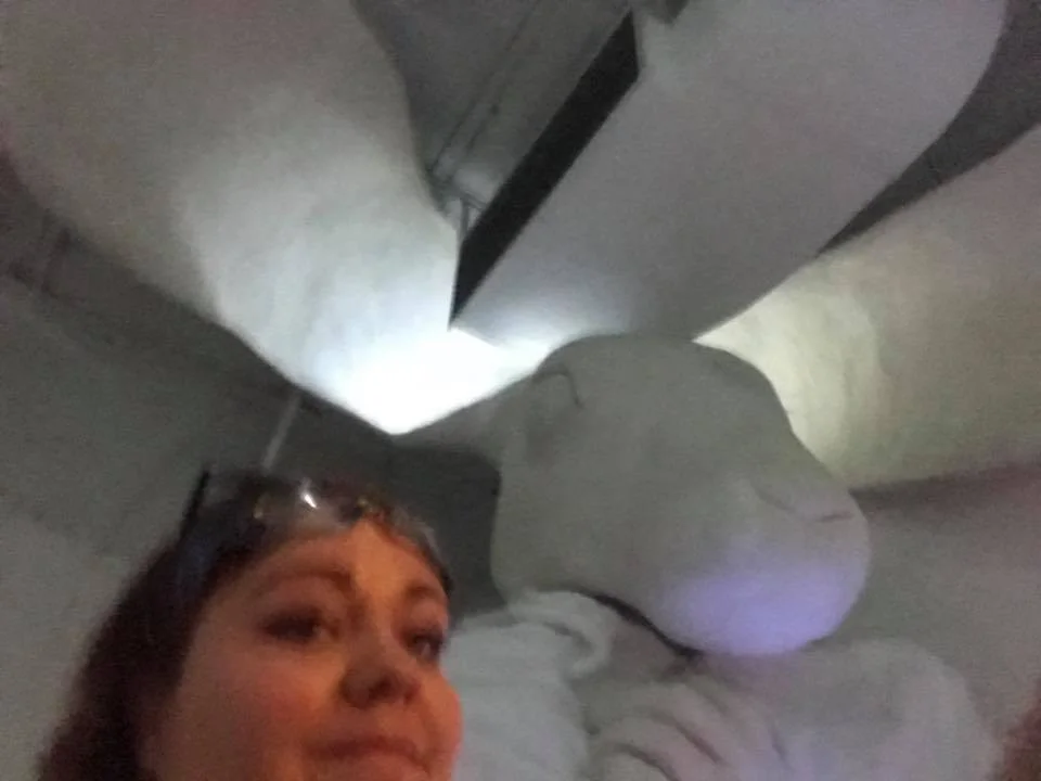 #MeowWolf