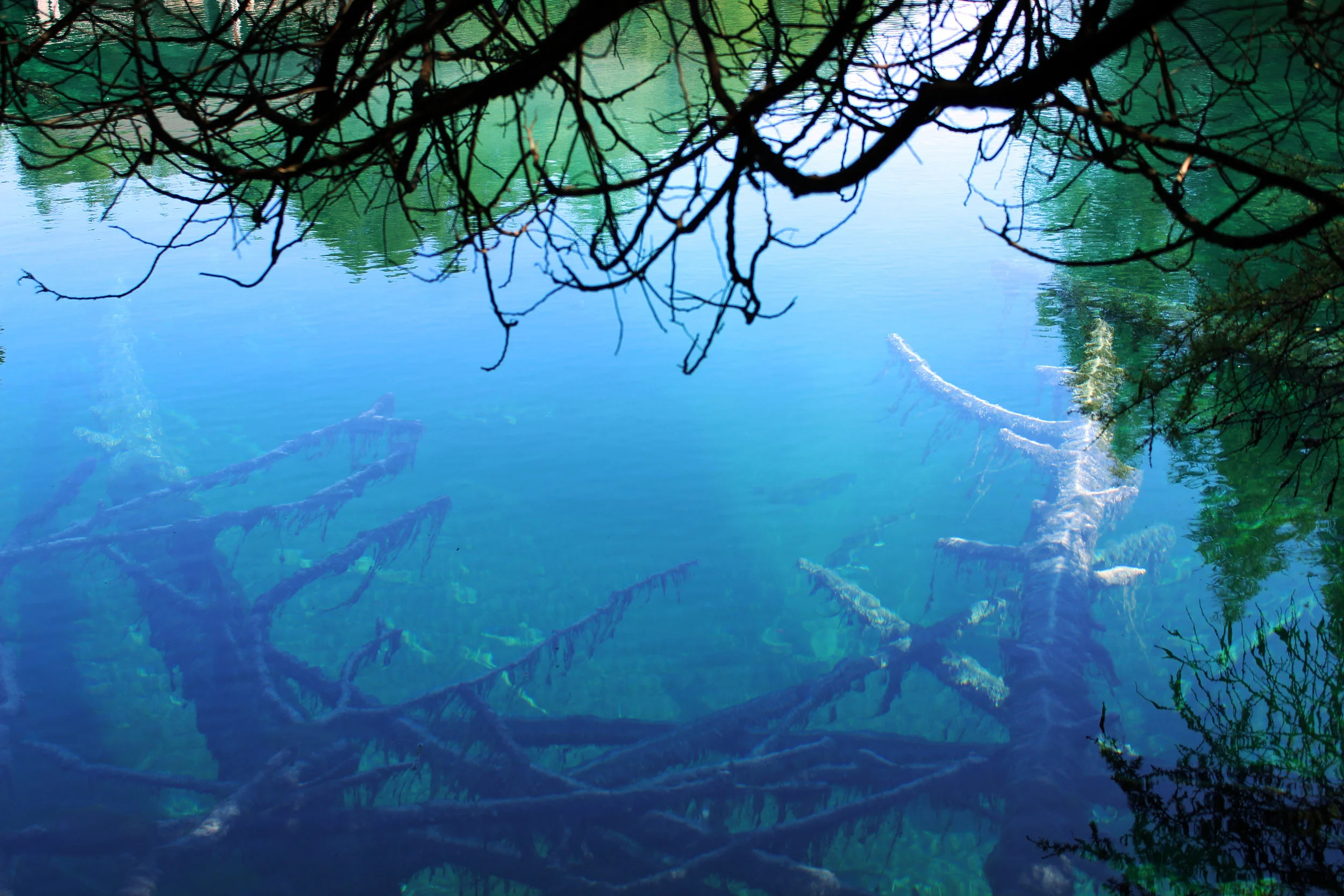 Landscape- Waterscape