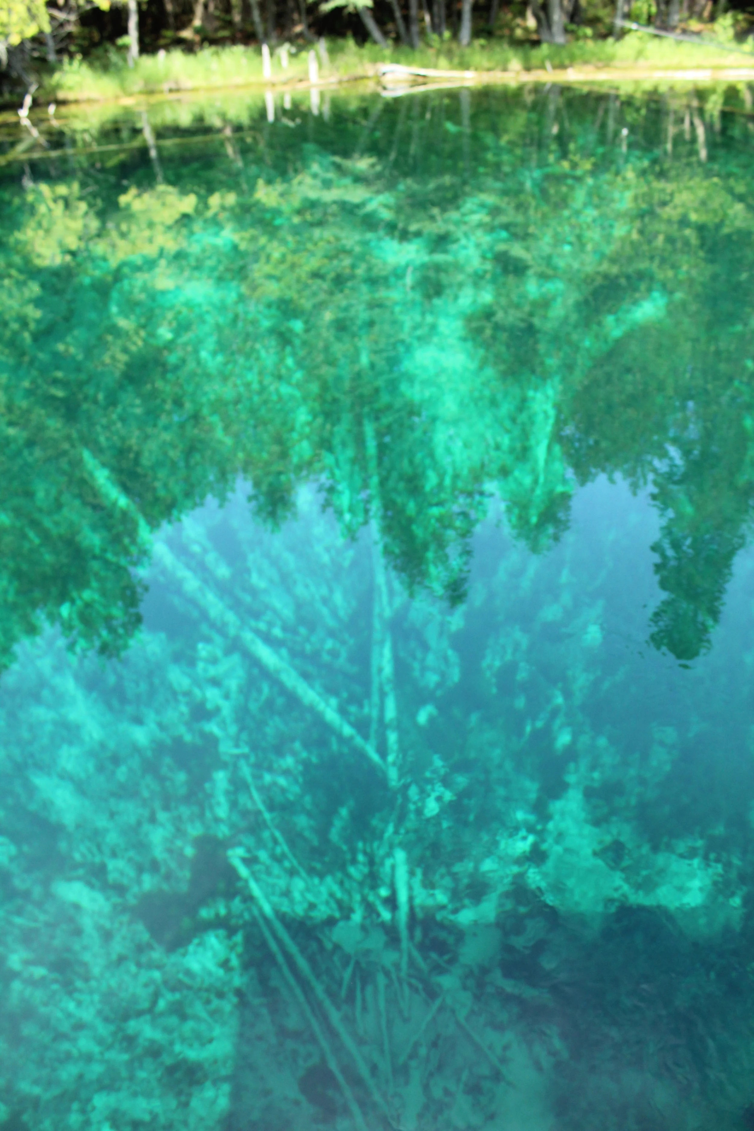 Week 45: Landscape Reflection