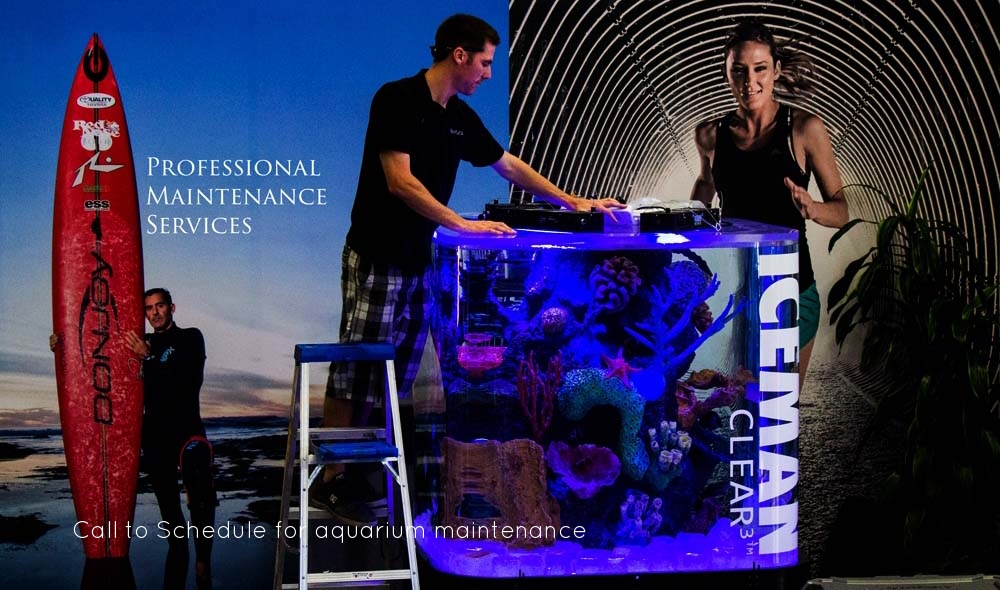 Copy of aquarium maintenance services