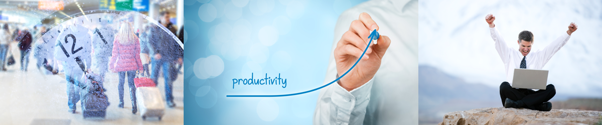 Banner 1200 x 250 Productivity.png