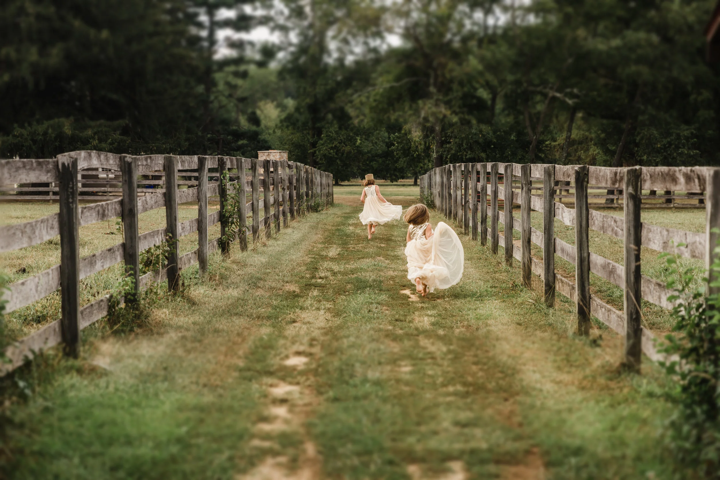 WhiteFamily_Sept2016 (103).jpg