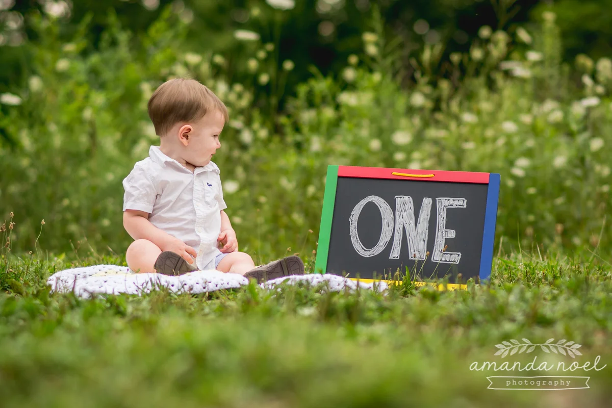 one year, kids, baby, toddler, lifestyle, milestone, mini