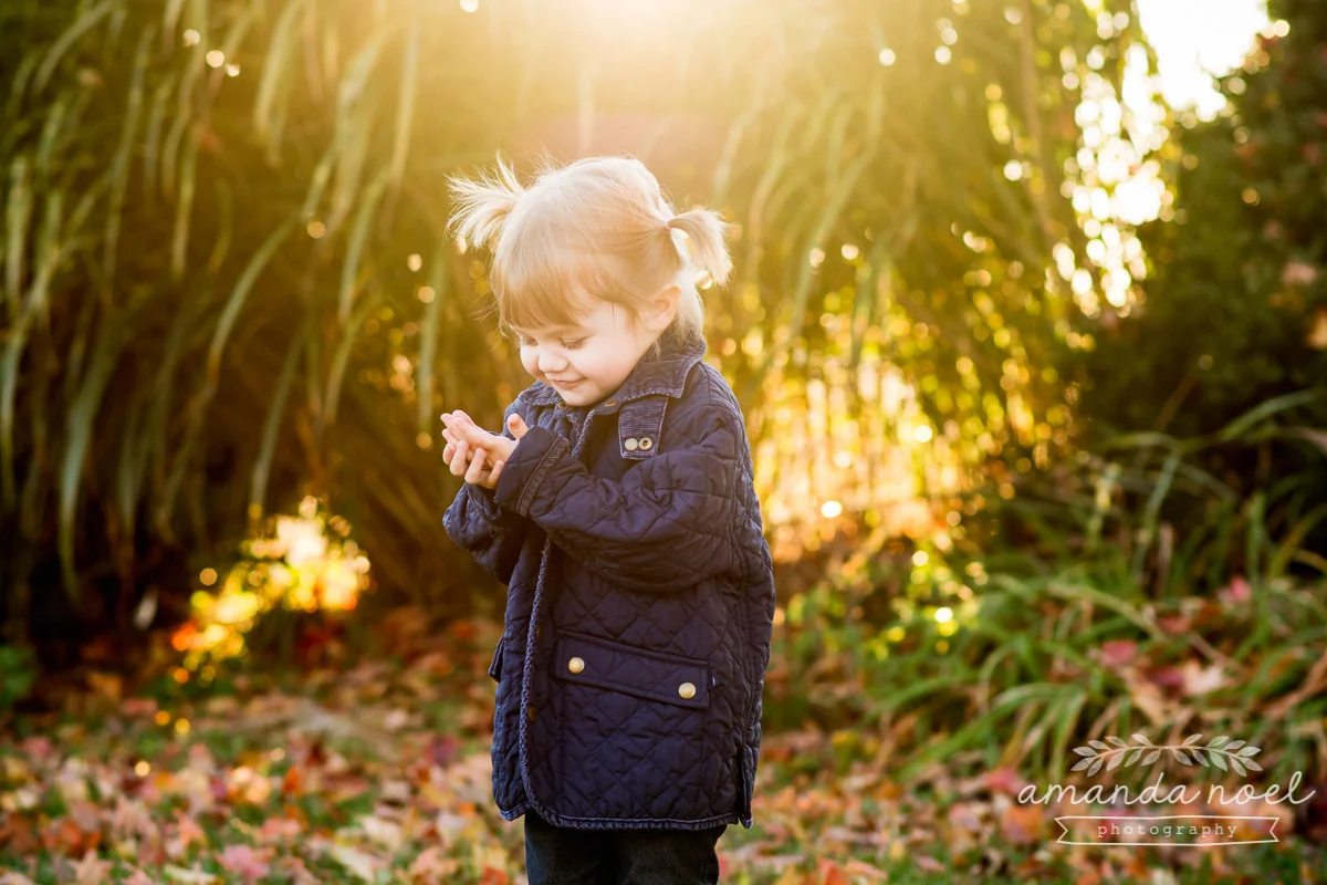 Springfield Ohio Lifestyle Family Photographer | Amanda Noel Pho