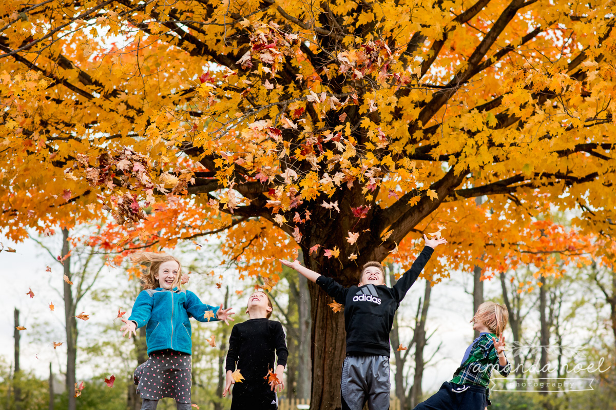 Springfield Ohio Family Photographer | Amanda Noel Photography