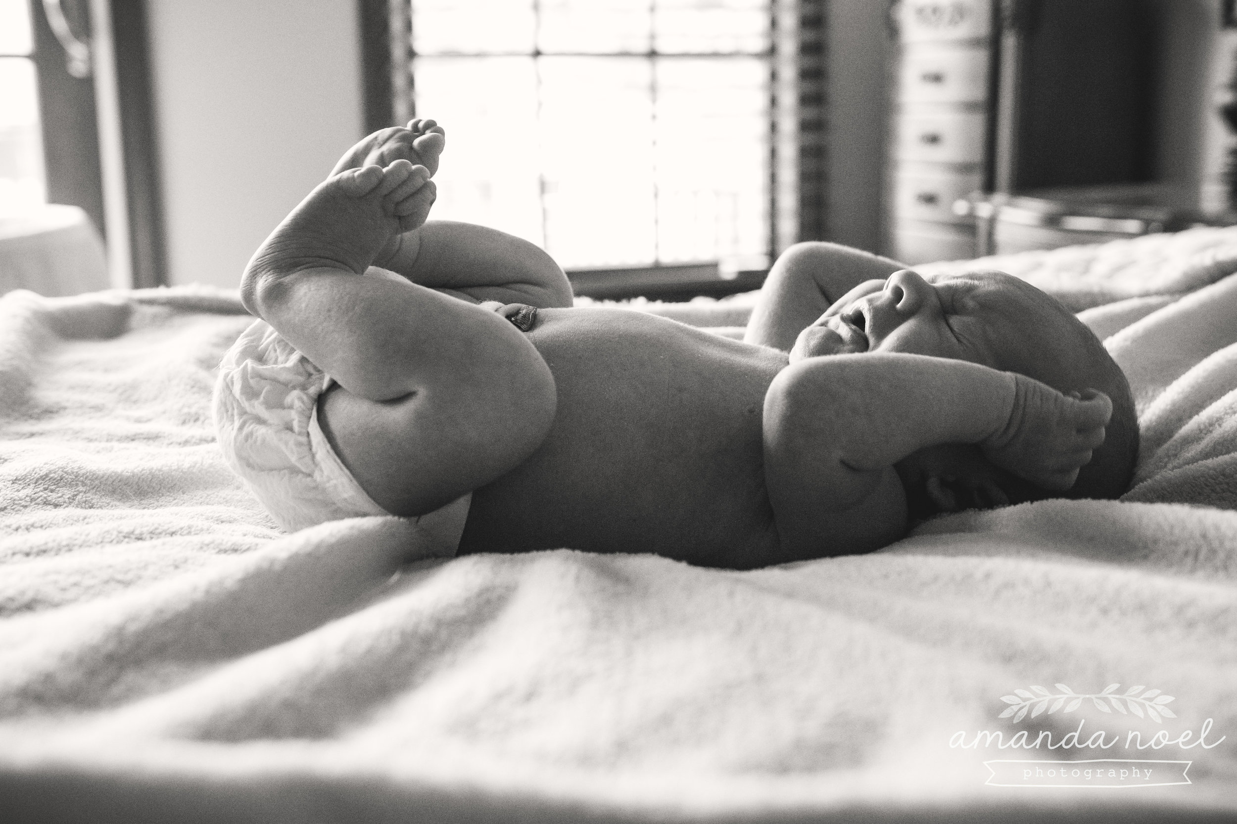 Springfield Ohio Newborn Photographer | Amanda Noel Photography