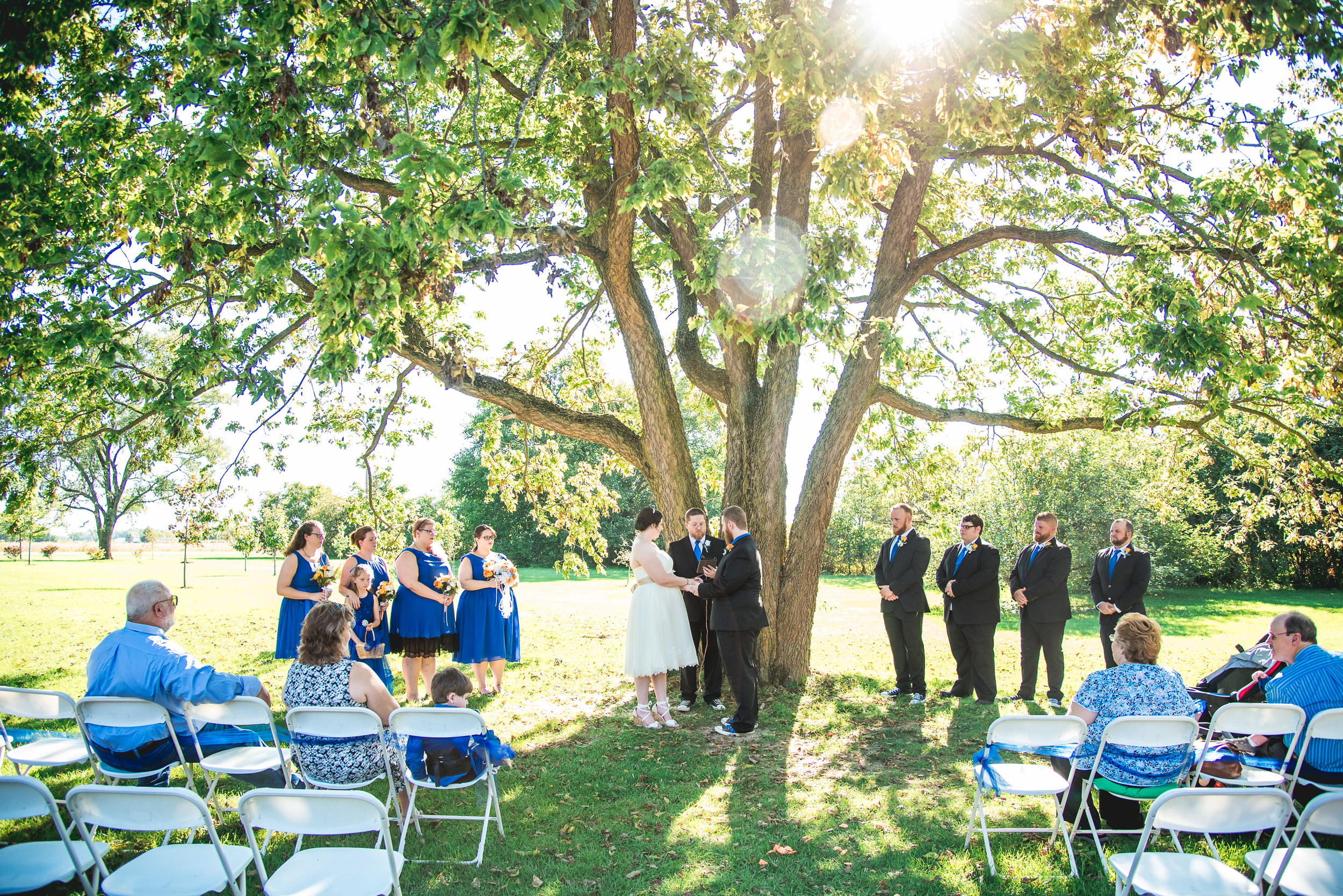 Columbus Ohio Wedding Photographer | Outdoor wedding under a tree