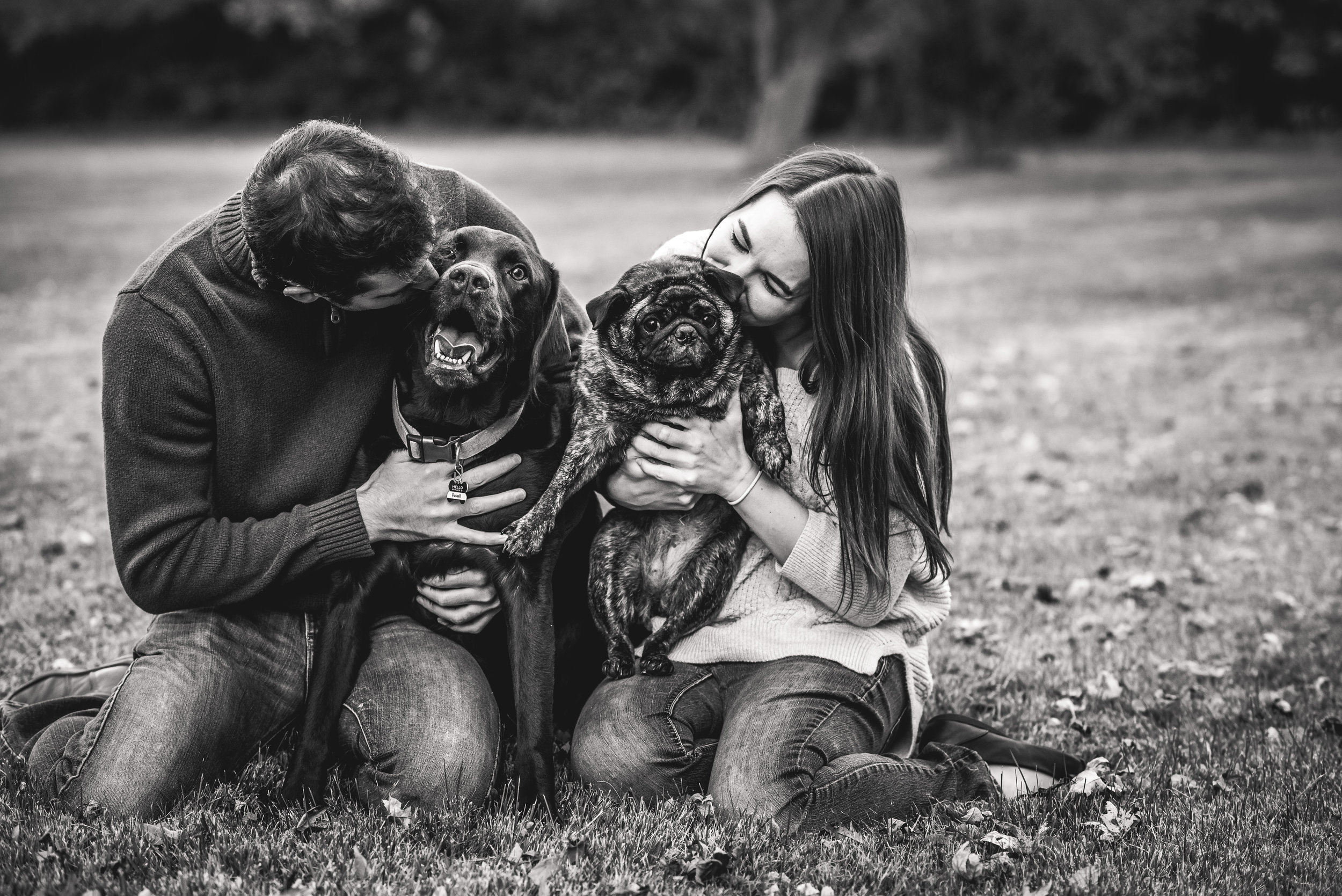 Columbus Ohio Wedding Photographer | couple session with dogs