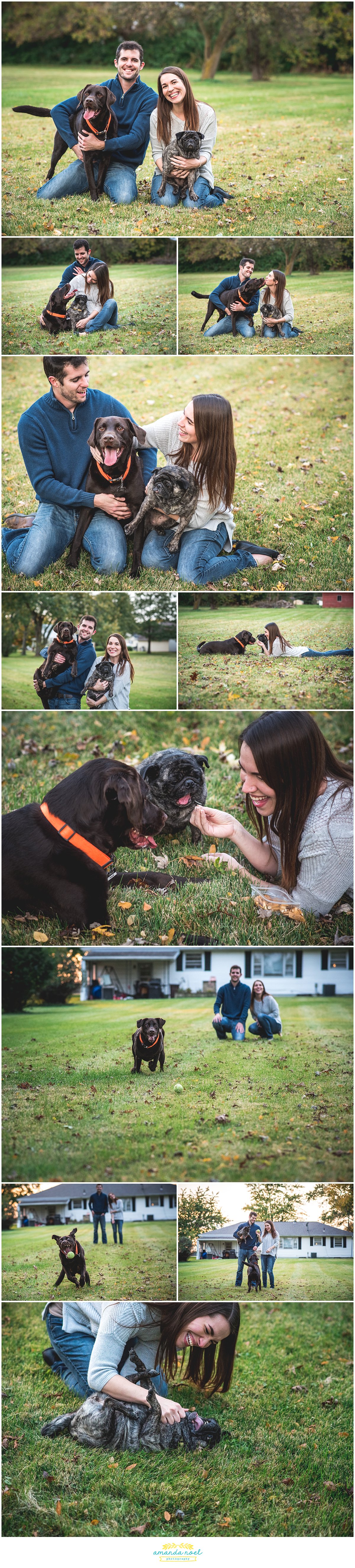 Columbus-Ohio-candid-couple-portraits-at-home-with-dogs