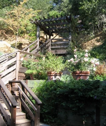 Access to steep hillside, Marin County