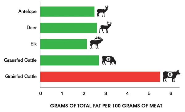 grassfed-fat.jpg