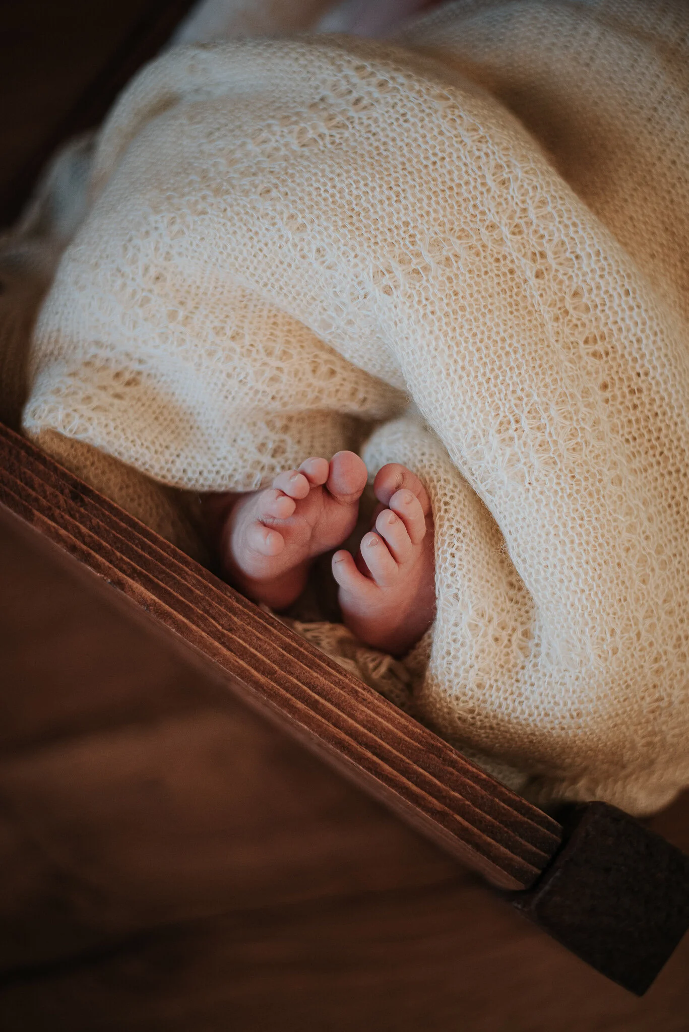 jaxon-5.jpg