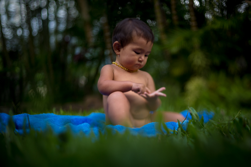 alight with purpose - by Barb Toyama