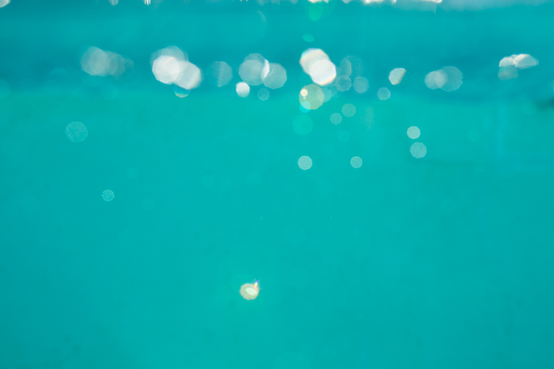 Last light of summer - Jennifer Kapala