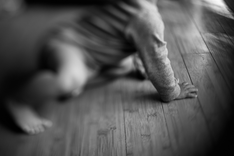 in constant motion - photo by Barb Toyama