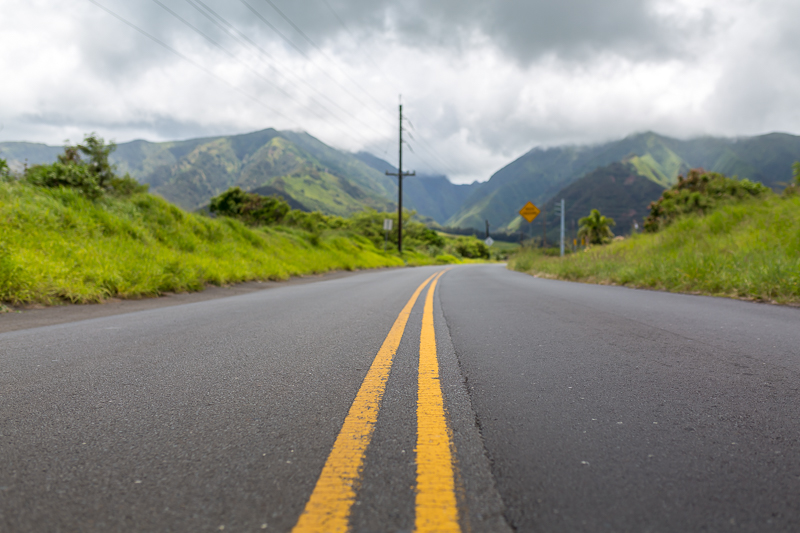 Down the twisting turning road - by Barb Toyama