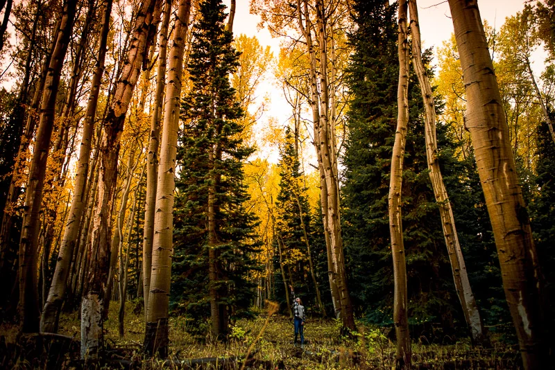 childhood run wild - photo by Willy Wilson