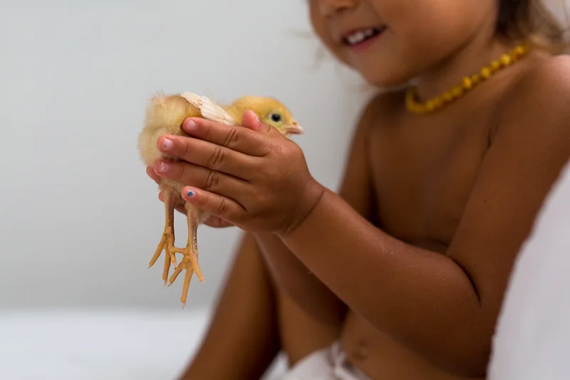 Trust - photo by Barb Toyama